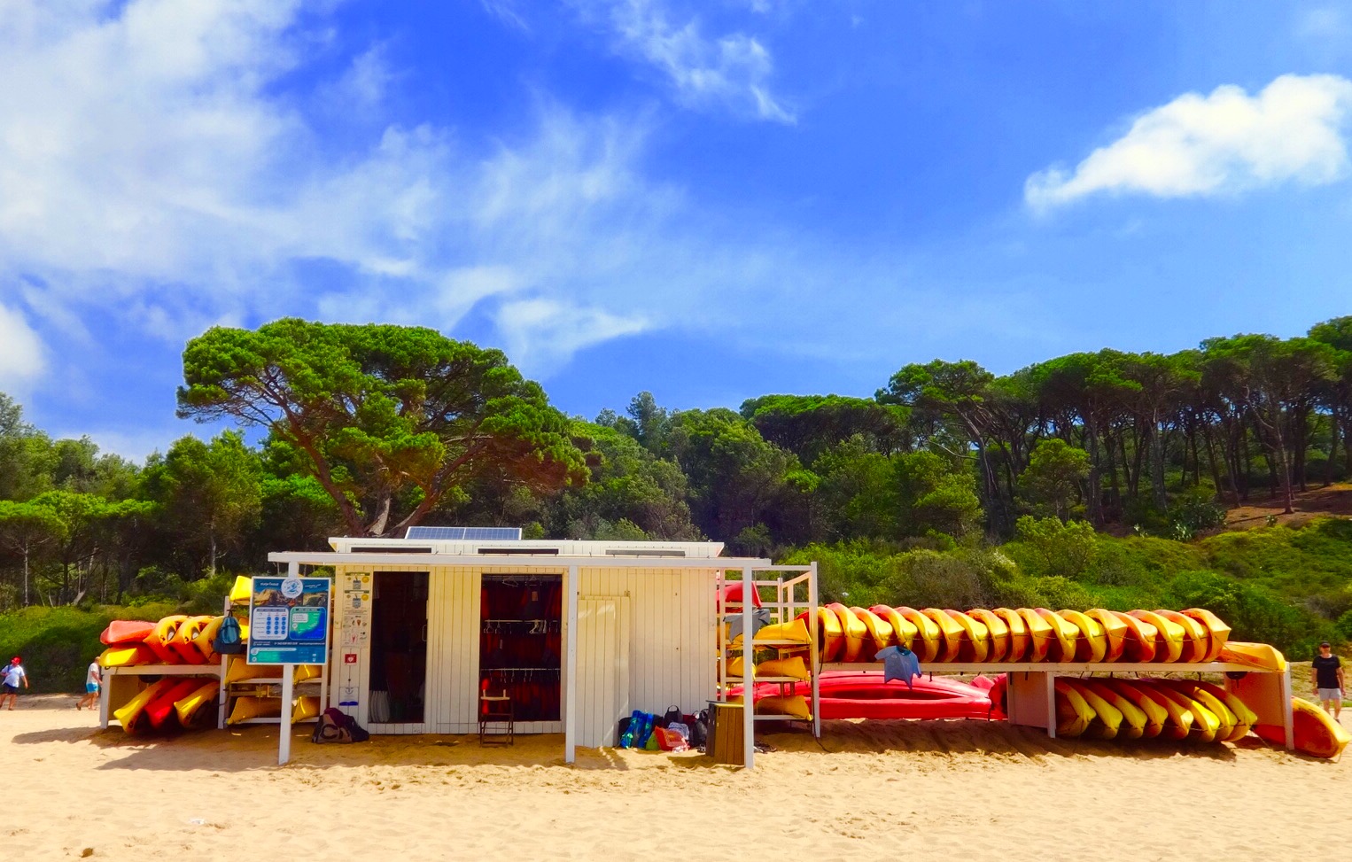 Archivo 31-7-17 17 39 52 copy.jpeg