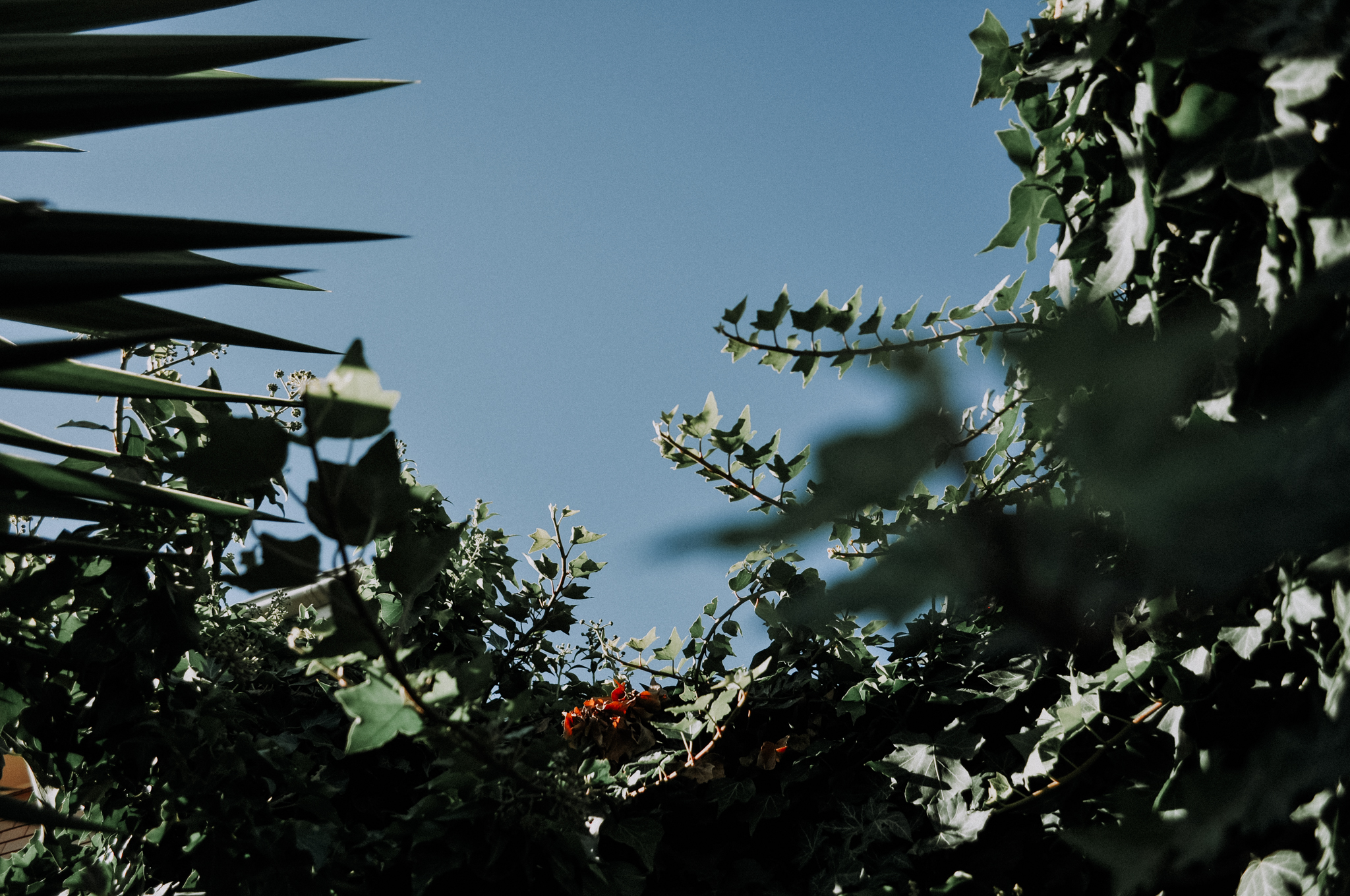 36Frame_D5000 (3 of 36).jpg