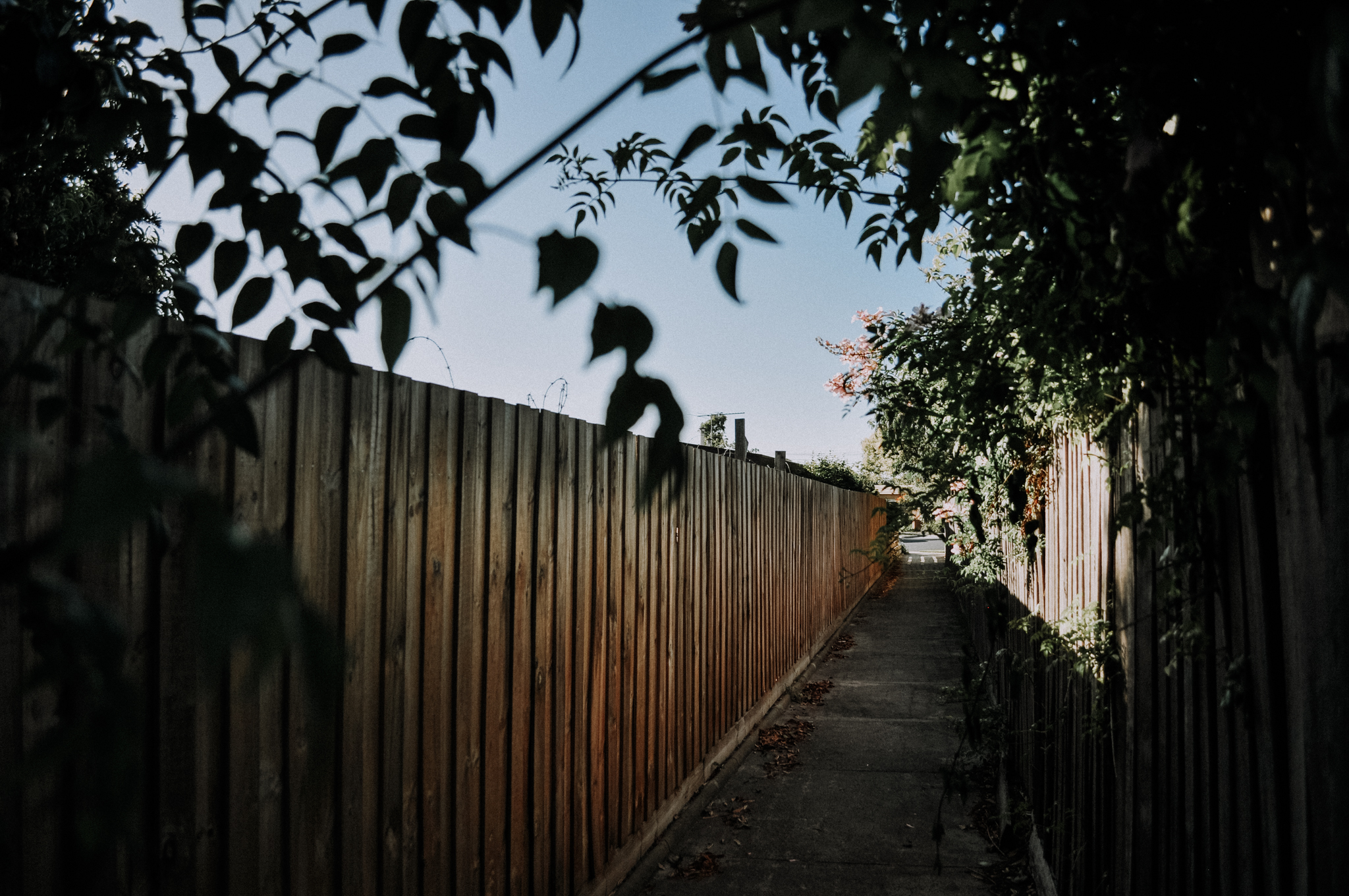 36Frame_D5000 (7 of 36).jpg