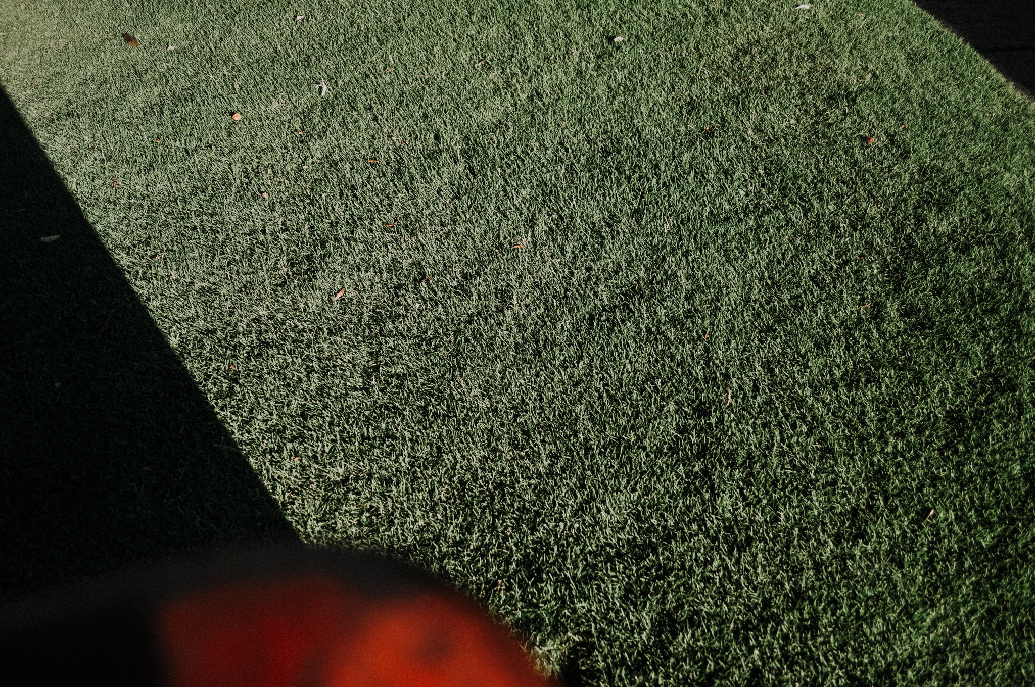 36Frame_D5000 (12 of 36).jpg