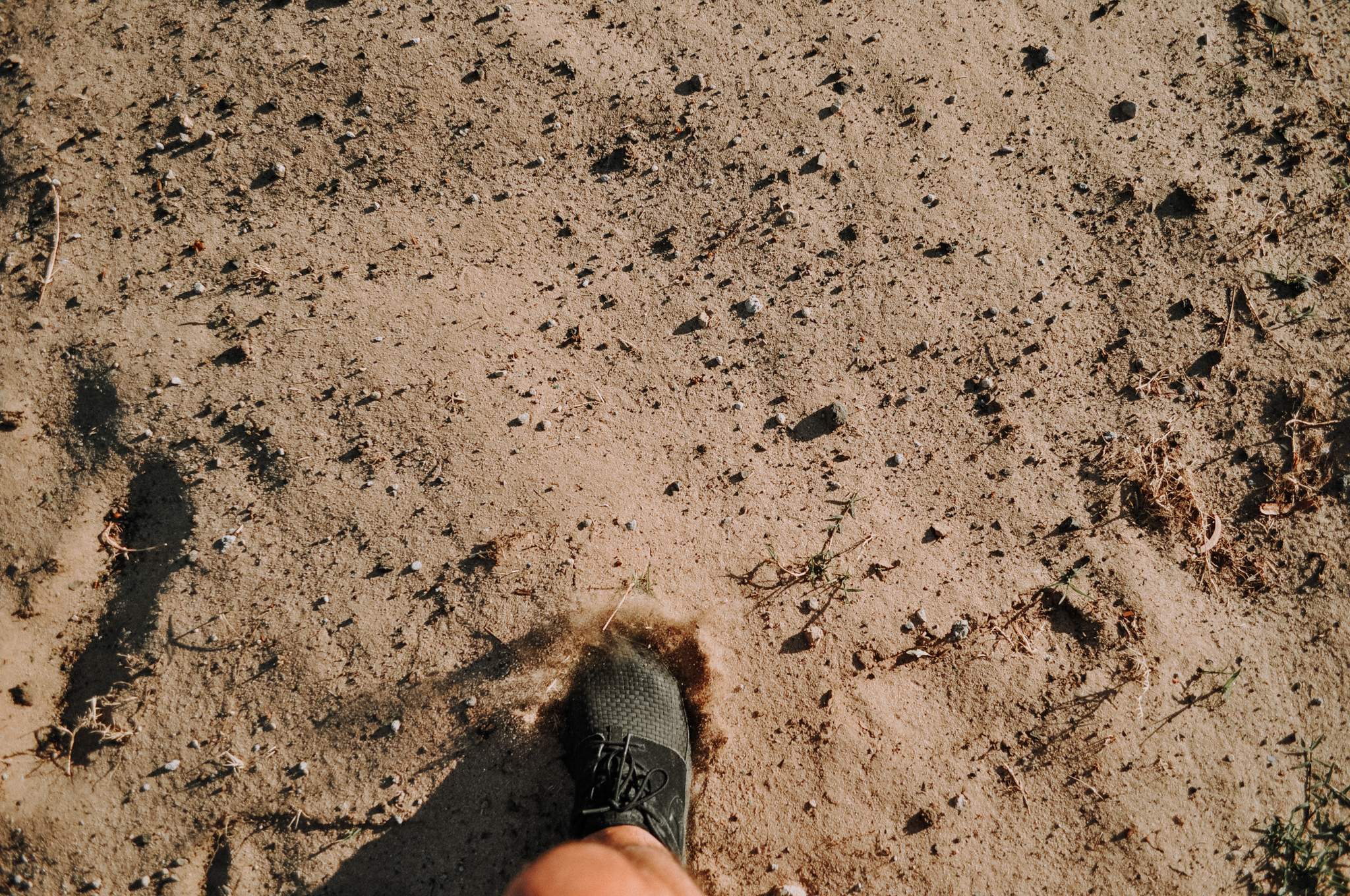 36Frame_D5000 (13 of 36).jpg