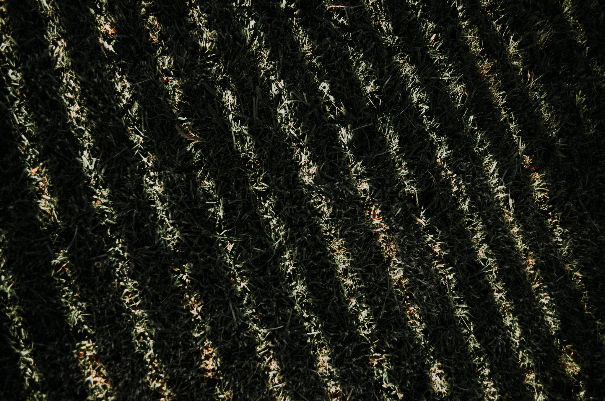 36Frame_D5000 (15 of 36).jpg