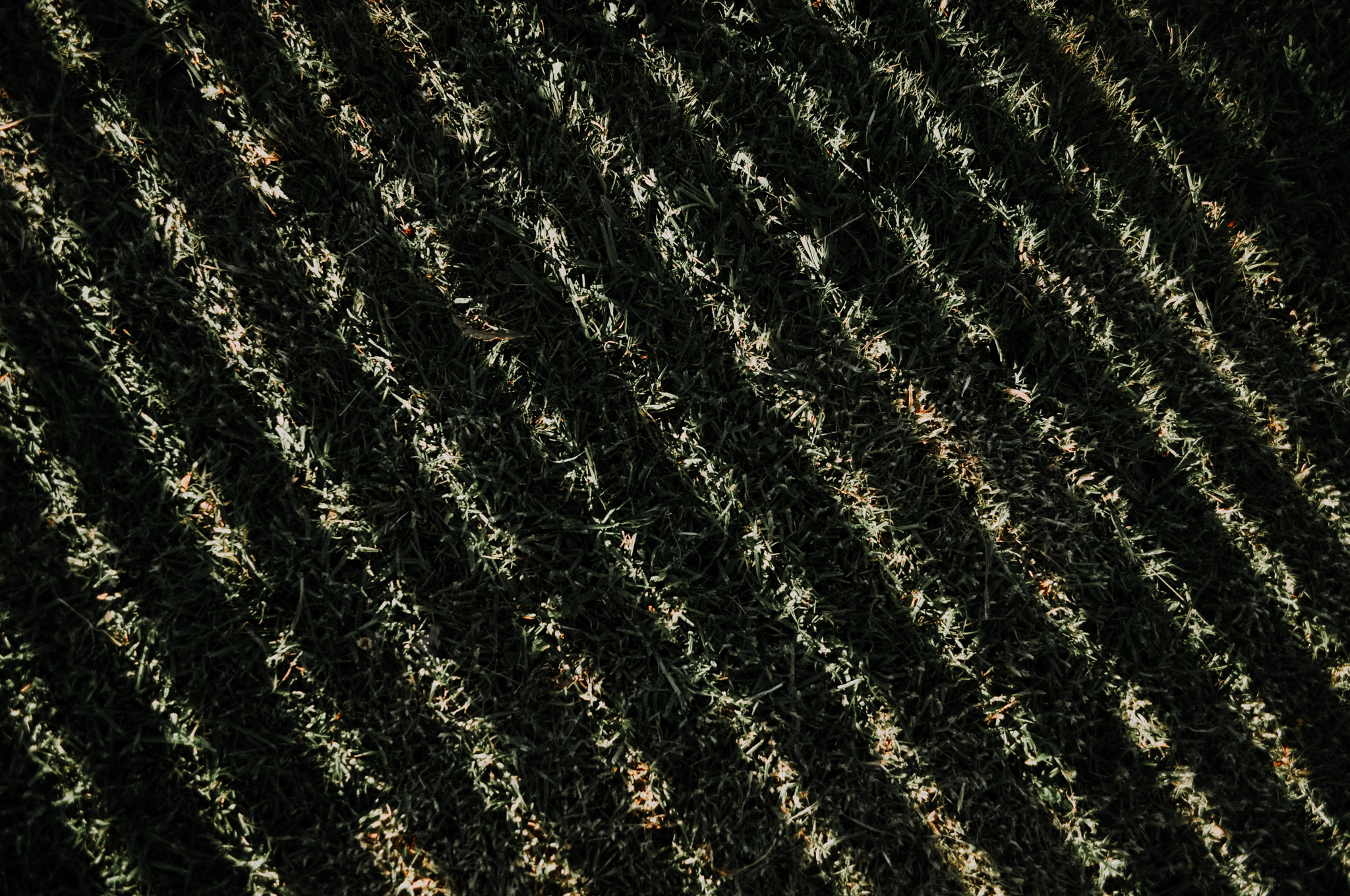 36Frame_D5000 (16 of 36).jpg