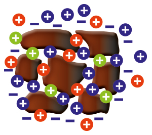 Stable humus in Terralift fetilisers increases Cation Exchange Capacity