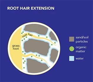 rocastem_root_hair_extension
