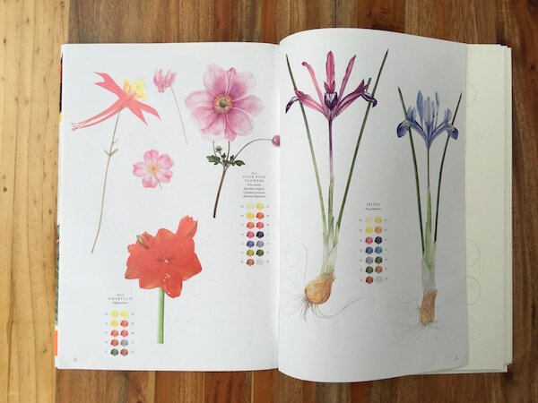 Review: Rhs Flowers, The Watercolor Art Pad — Hazel Scott: Botany And Botanical Art