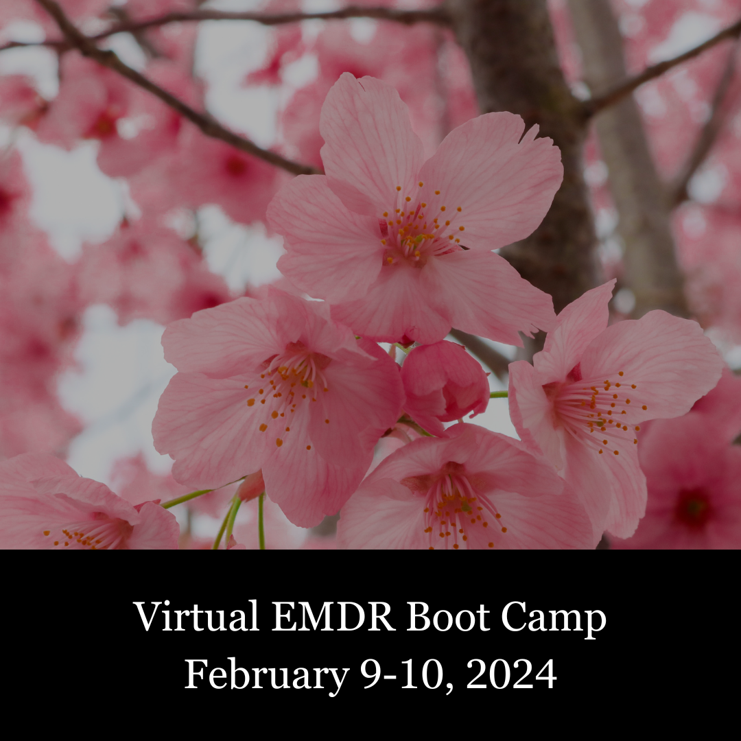 2024 Trainings — Advanced Education Institute