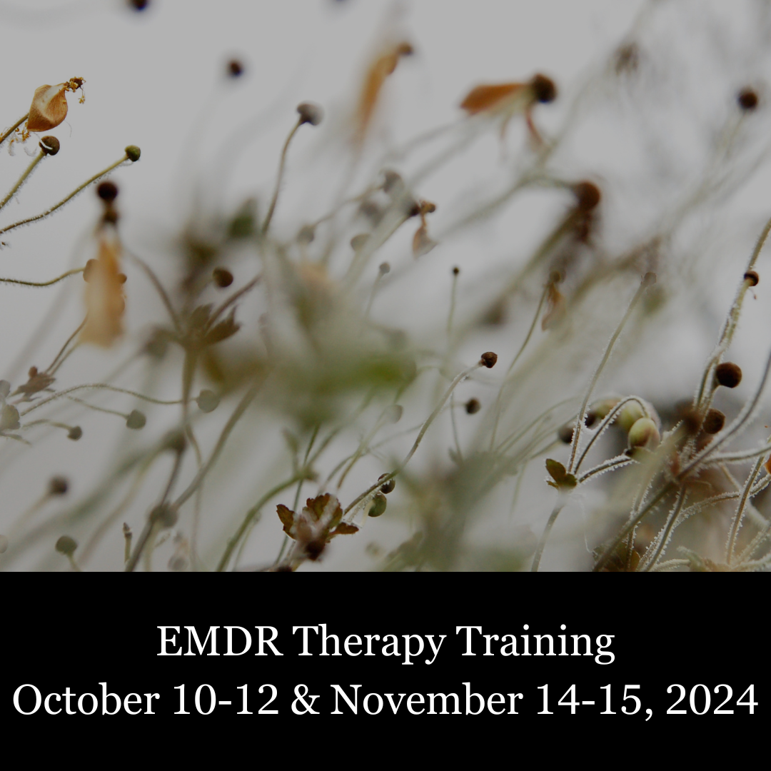 2024 Trainings — Advanced Education Institute