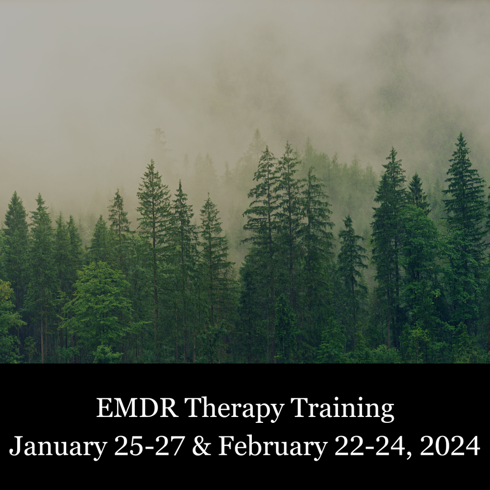 2024 Trainings — Advanced Education Institute