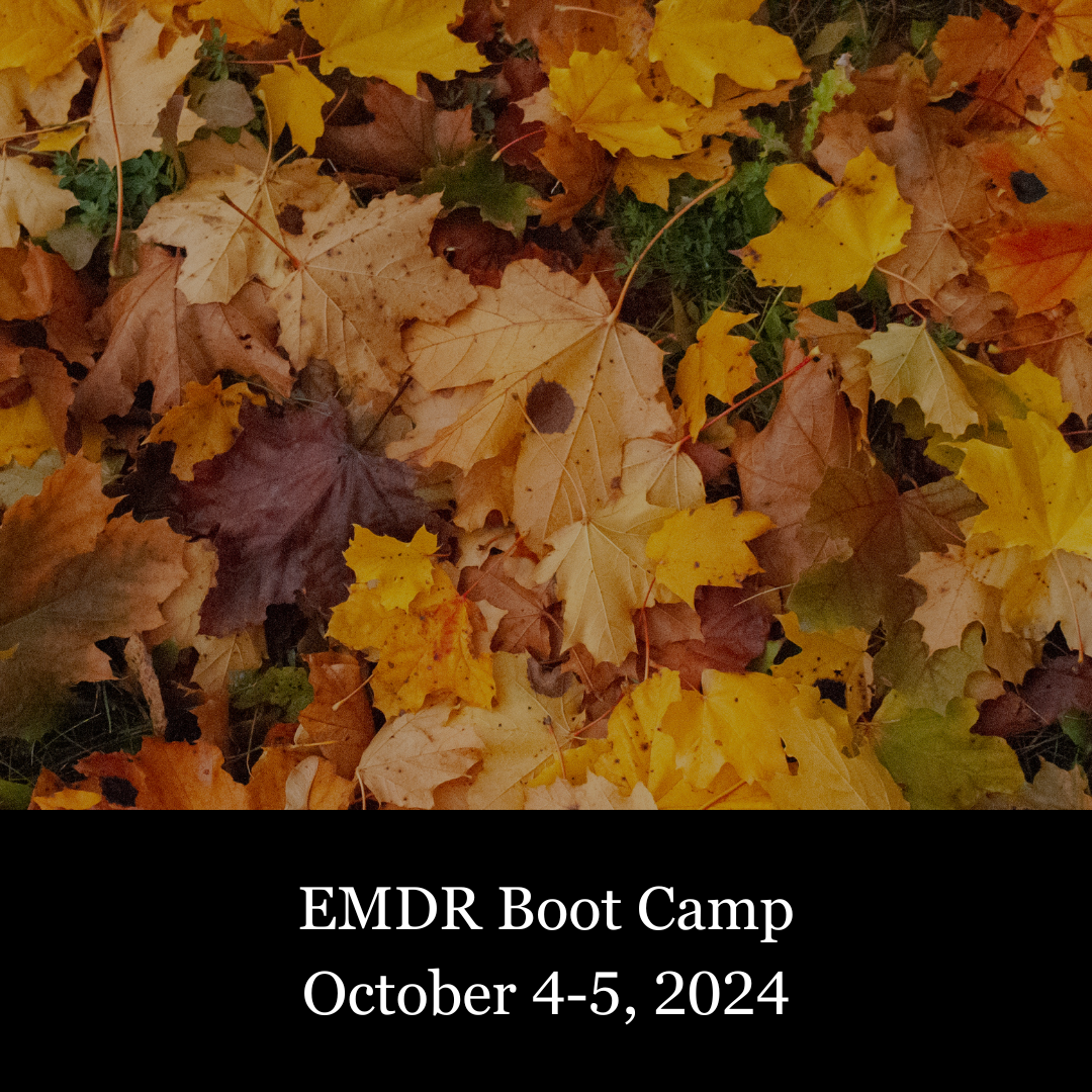 2024 Trainings — Advanced Education Institute