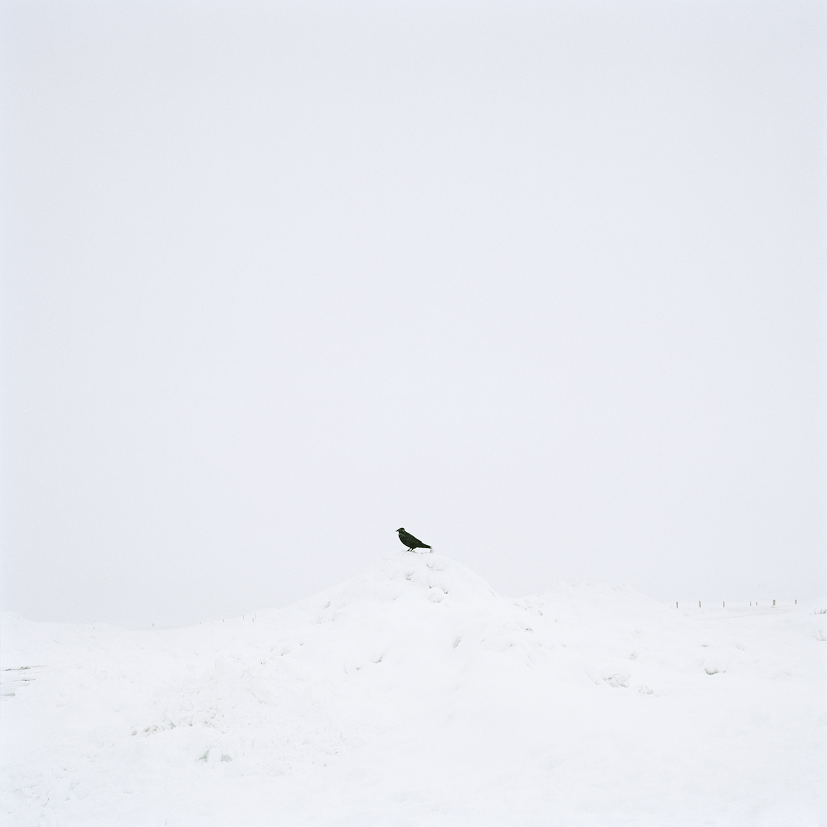 © Patrick H. Sampson, 2015.