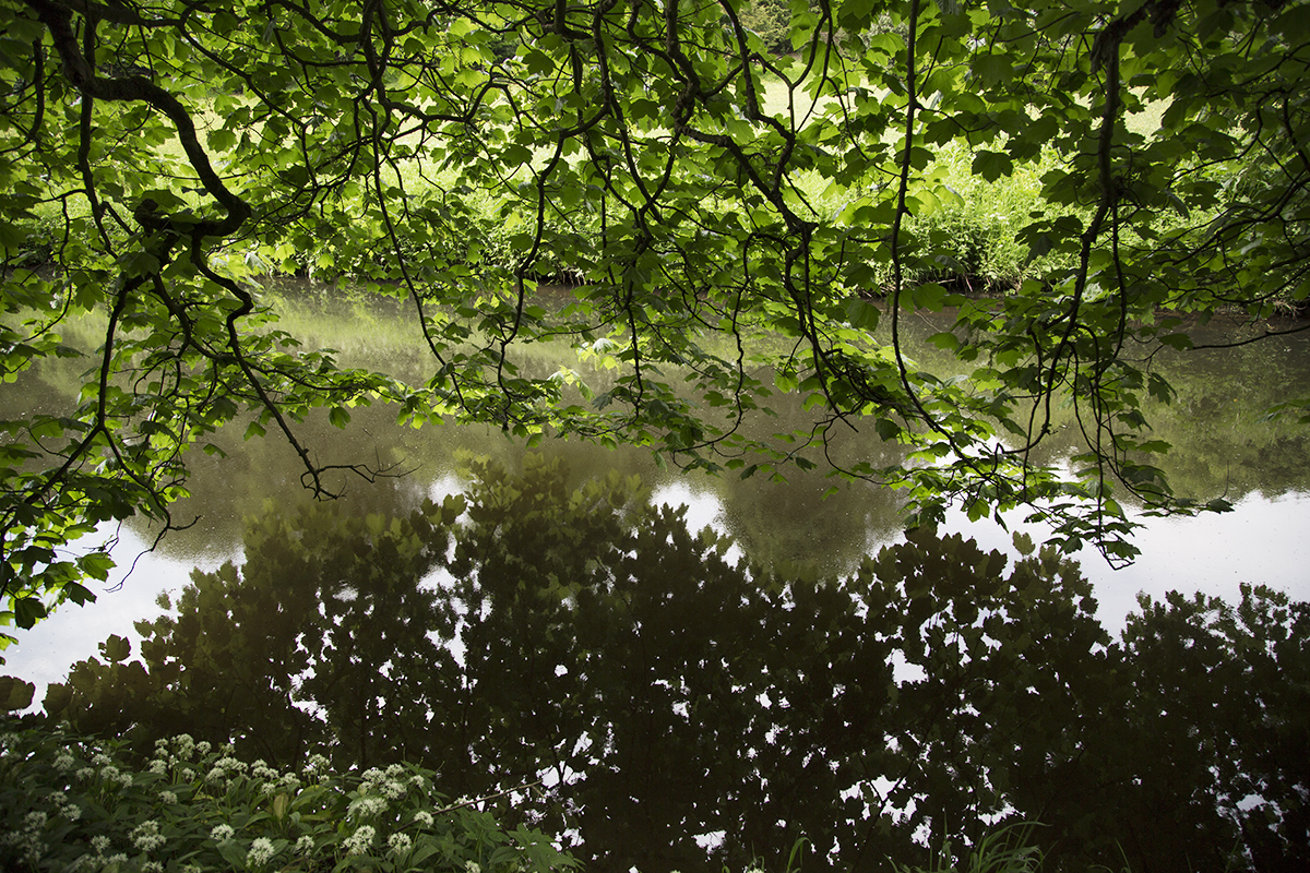 Fountains Abbey, 2017.