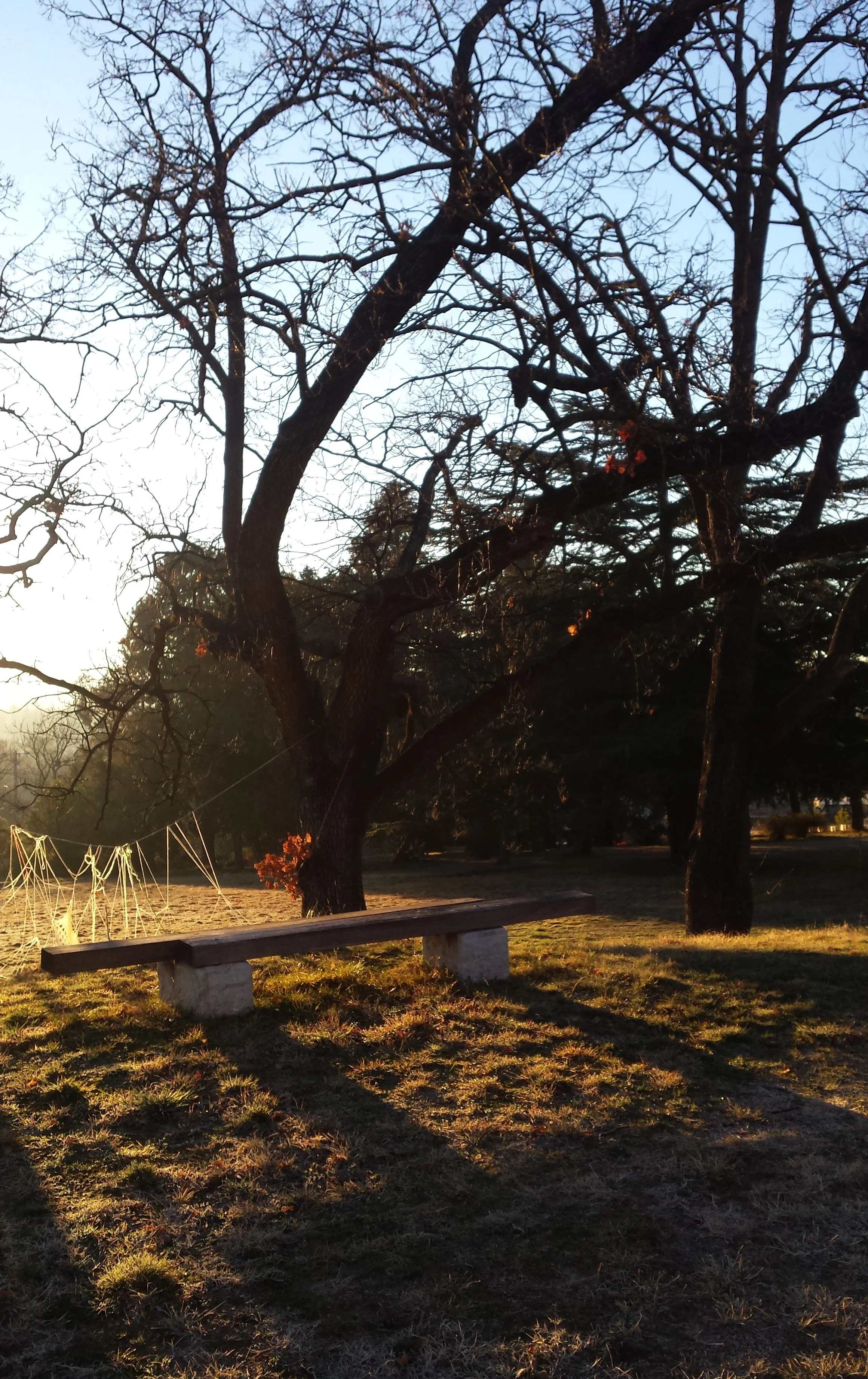 Early morning sunshine