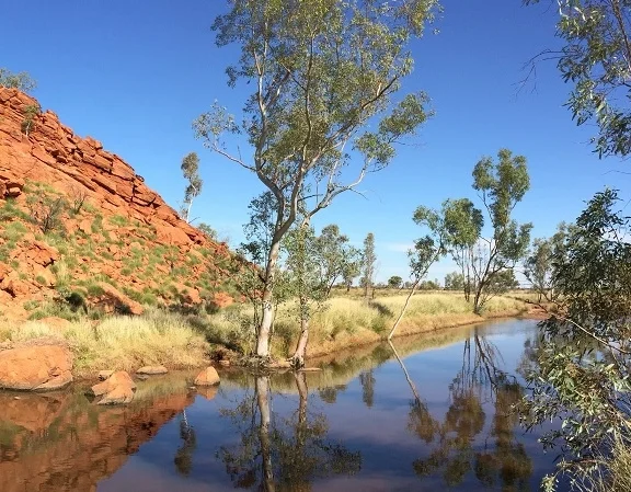 Martu-Waterhole-banner-.jpg