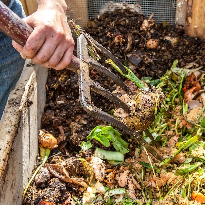 compost.jpg