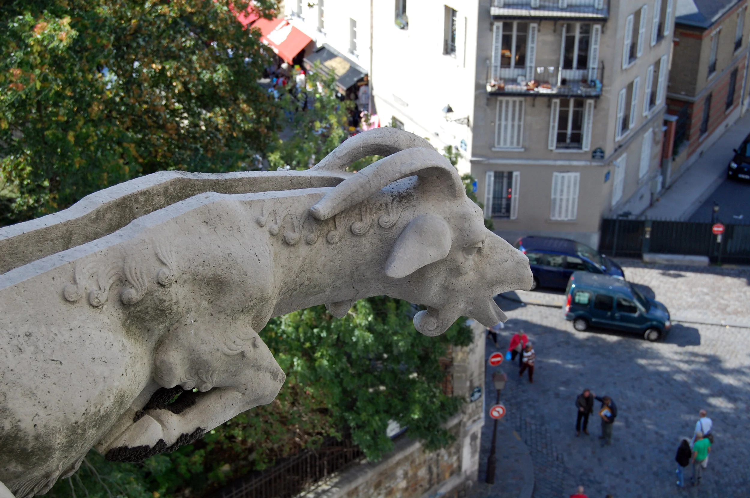 DSC_0037-m.jpg