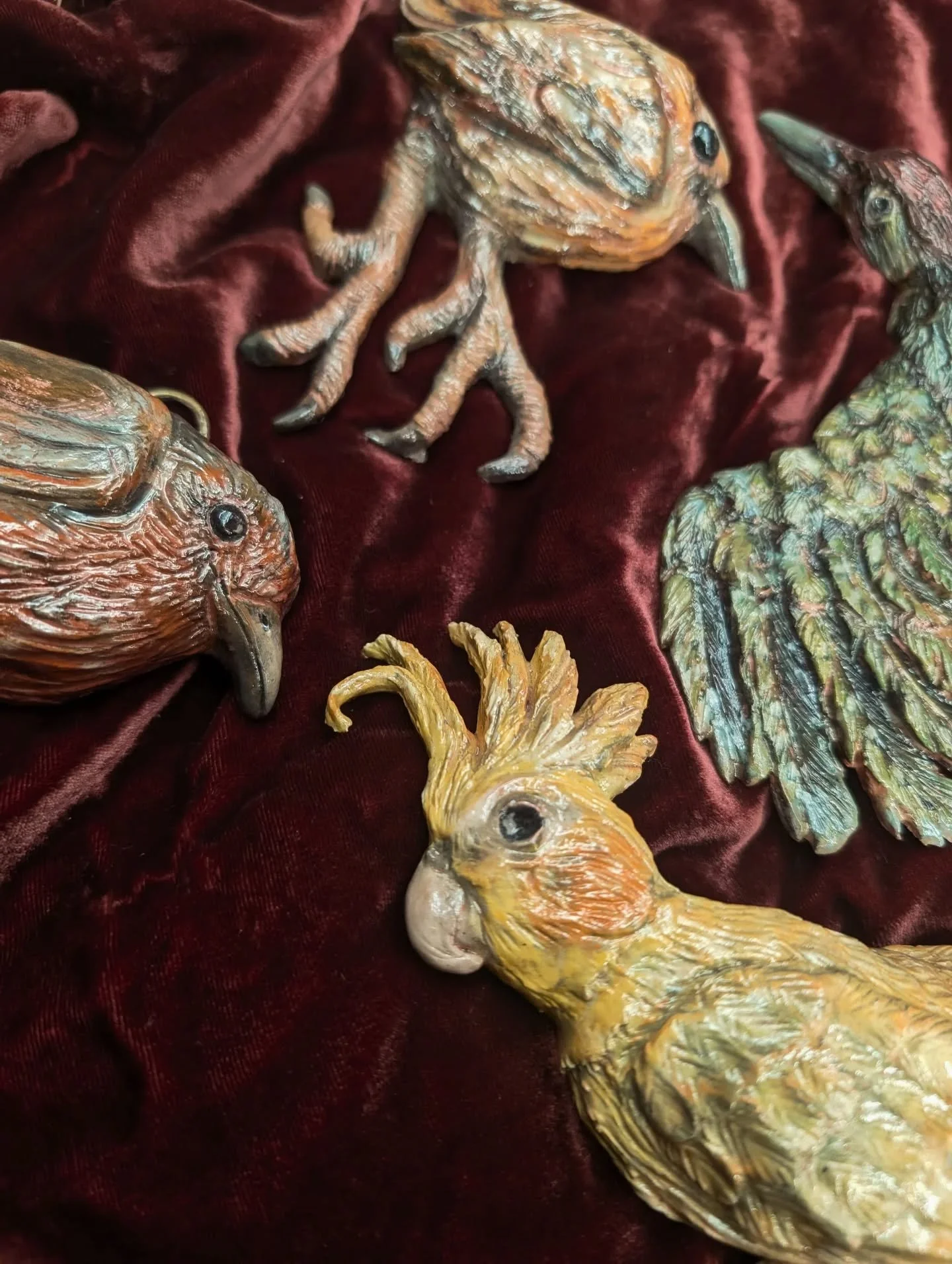 🪶 Birds Forever and Beyond 🪶