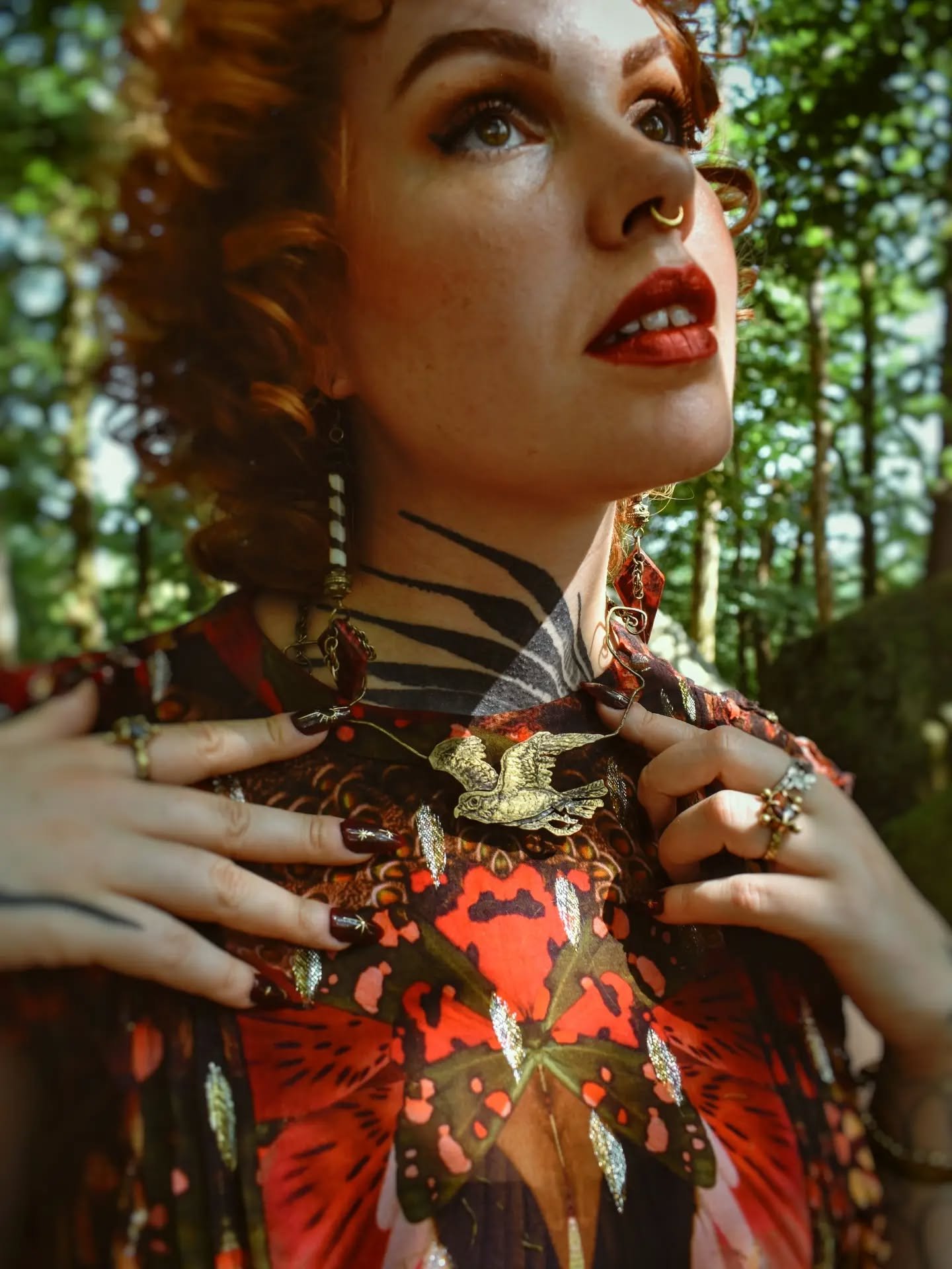 My greatest wish is to reveal the poetry of the birds that share our Earth. For years, I have tried to honor them through my wooden creations, inspired by their shapes, their colors, and their magical presence. This is the beginning of a new chapter,