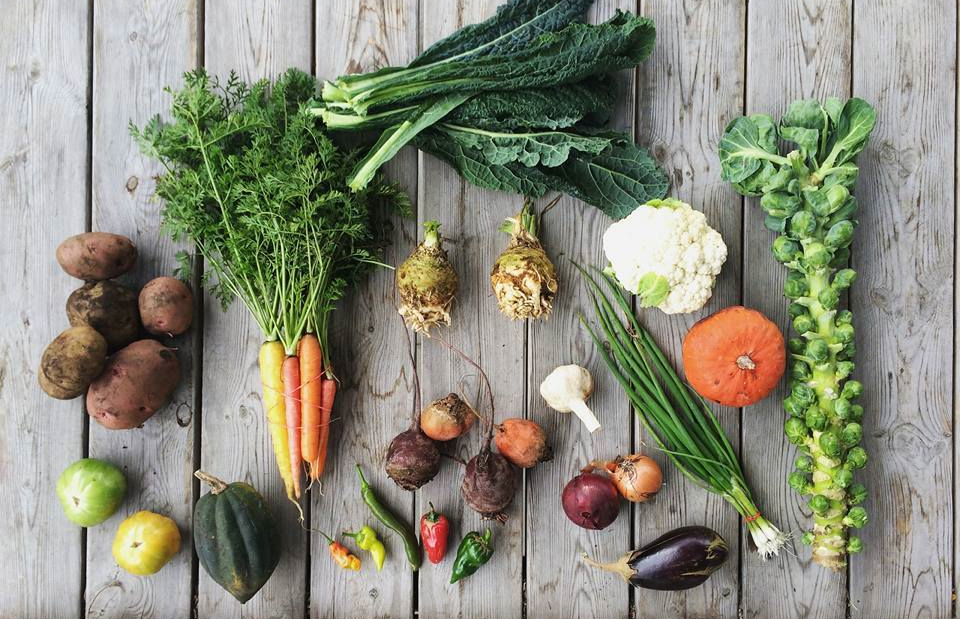 An example of an October share from Groundswell Farm 