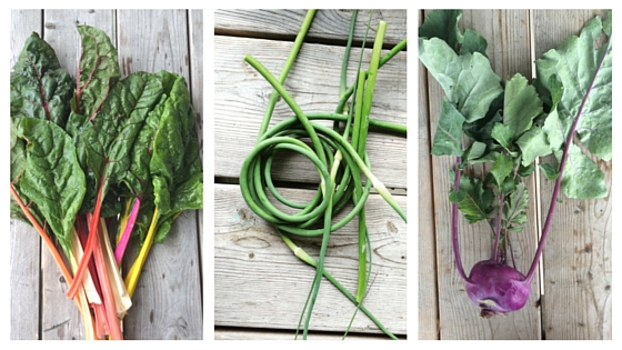 Swiss Chard, Garlic Scapes and Kohlrabi