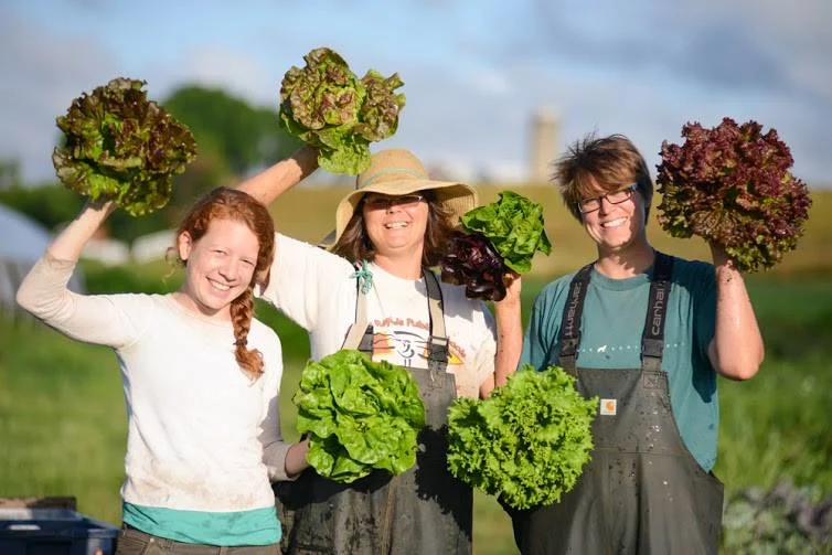 Groundswell Farm, MI