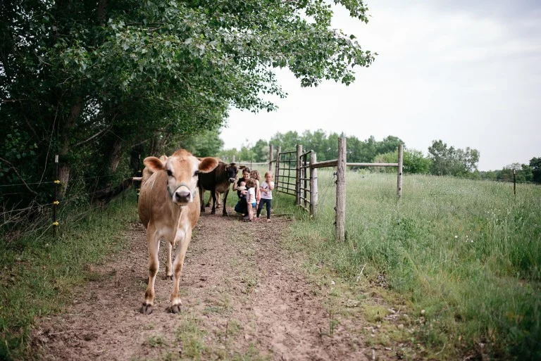 Two Sparrows Farm, MI