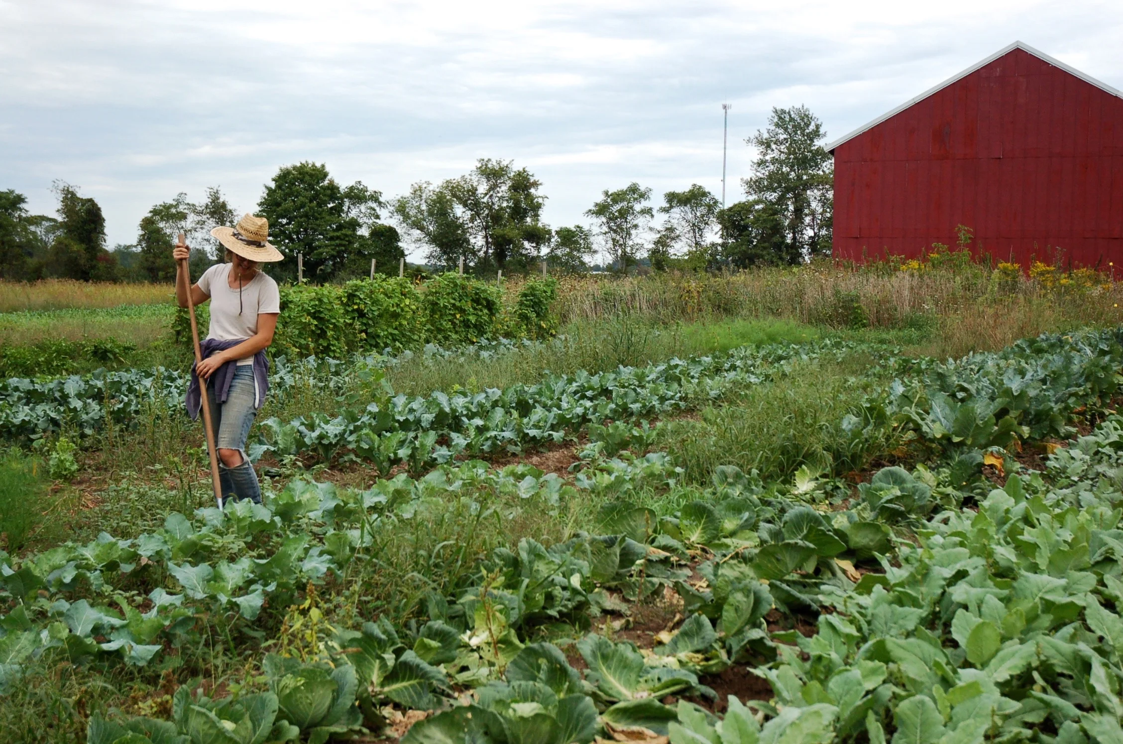 Full Hollow Farm, MI
