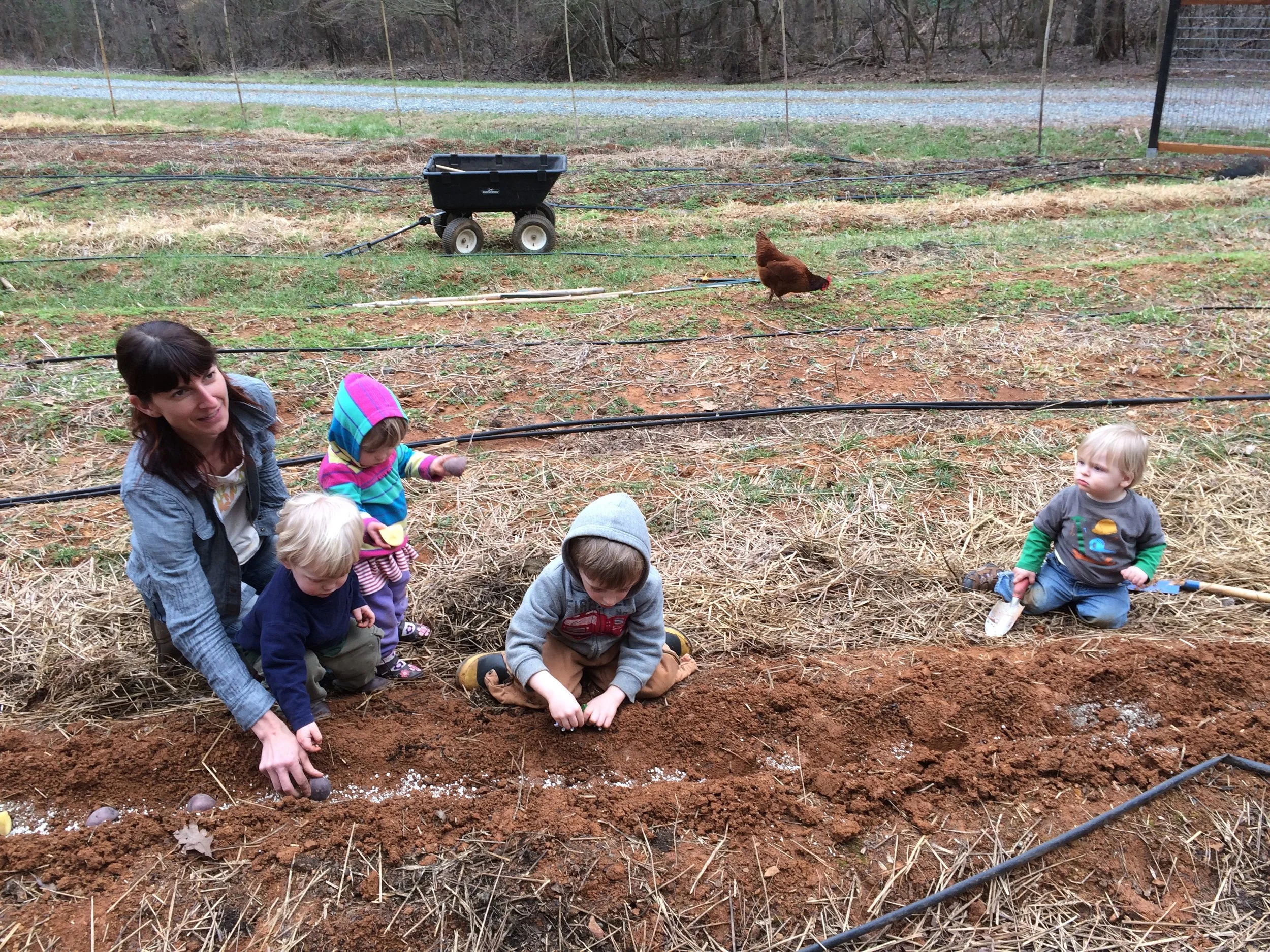 Copeland Springs Farm, NC — Tater Tats Temporary Vegetable Tattoos