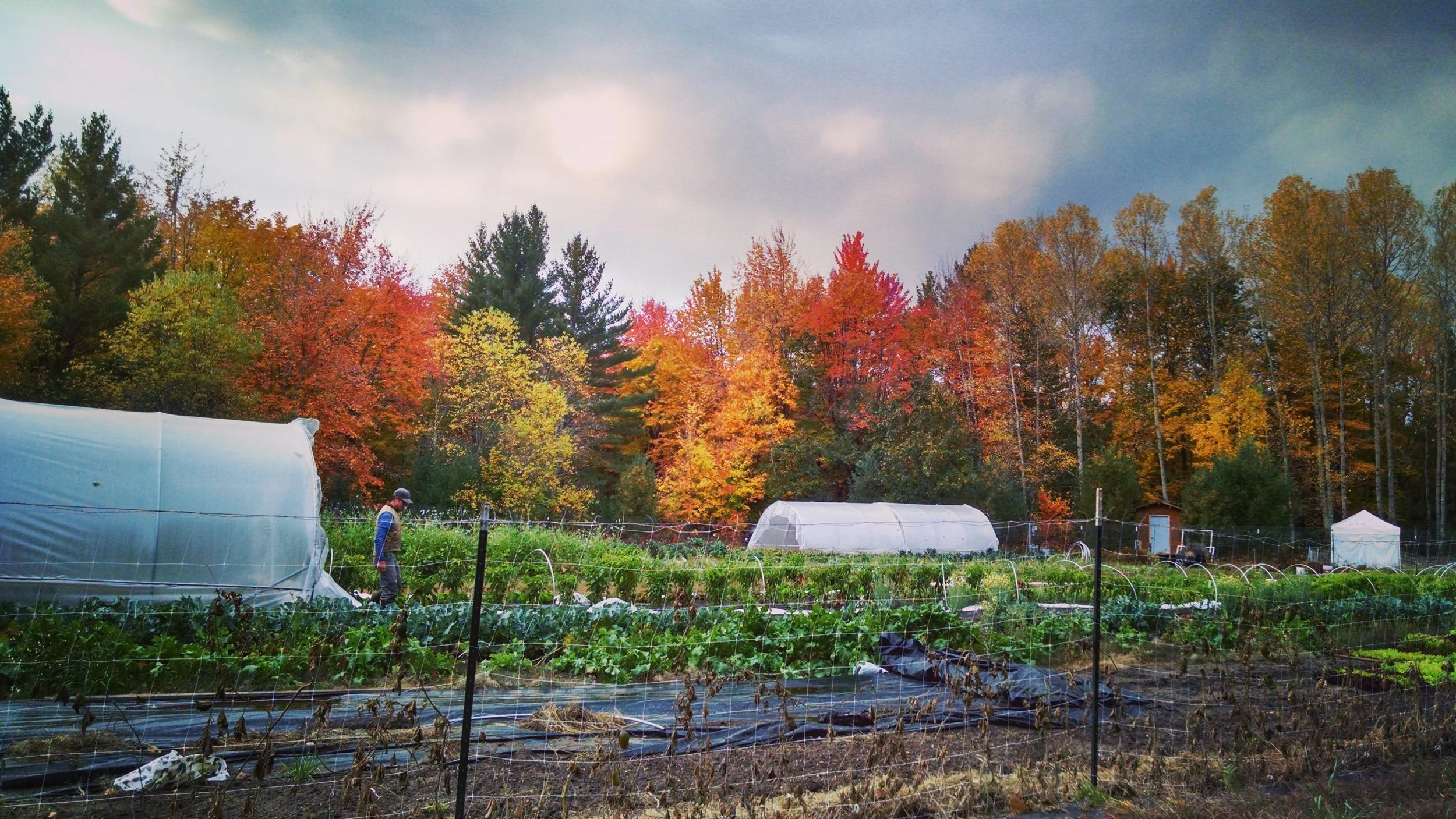Lost Lake Farm, MI