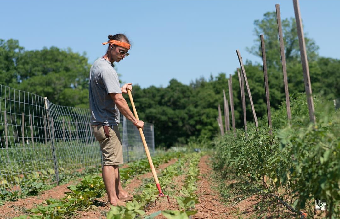 farmin stret fare.jpg