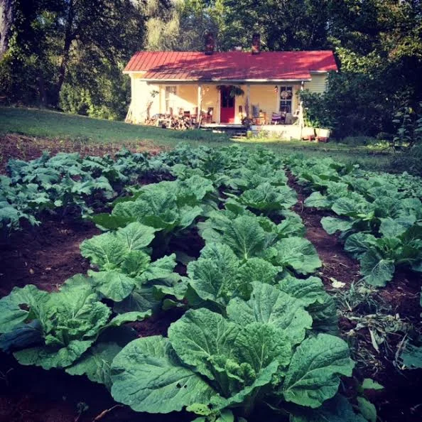 River House Farm, TN