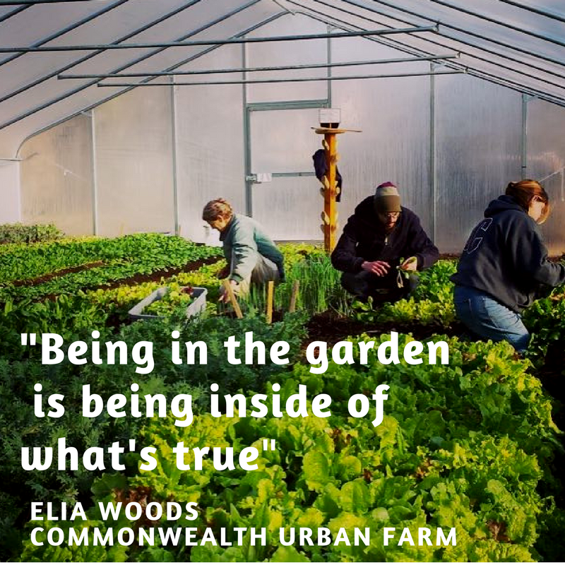 Commonwealth Urban Farm, OK