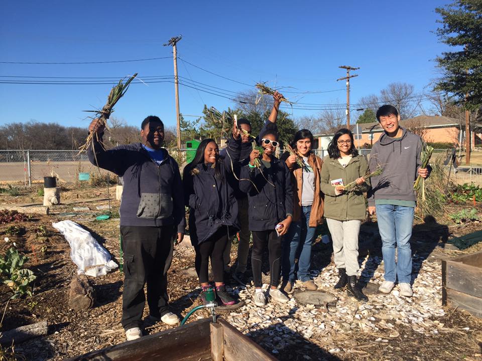 Promise of Peace Gardeners