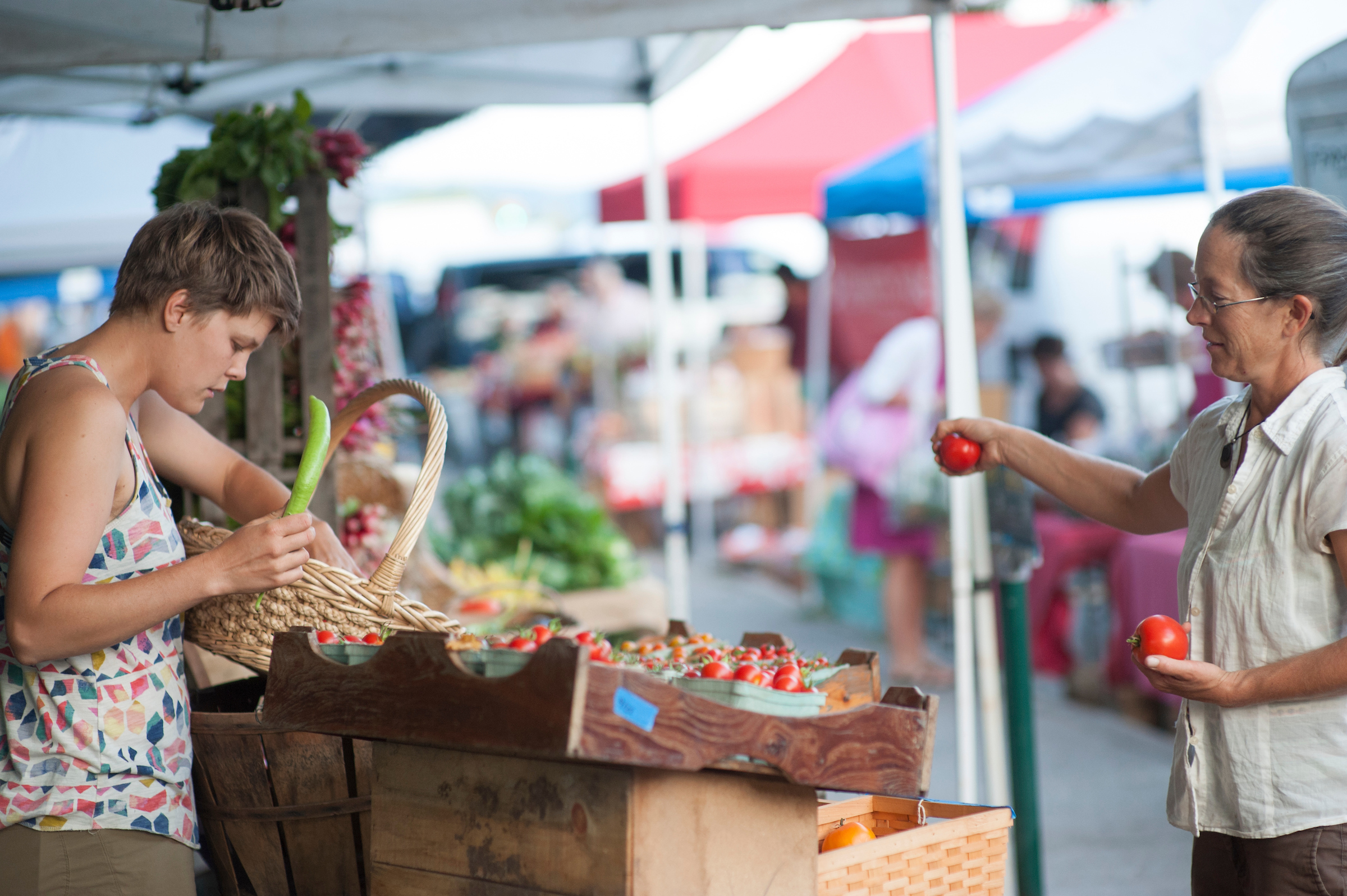 Sara Hardy Farmer's Market