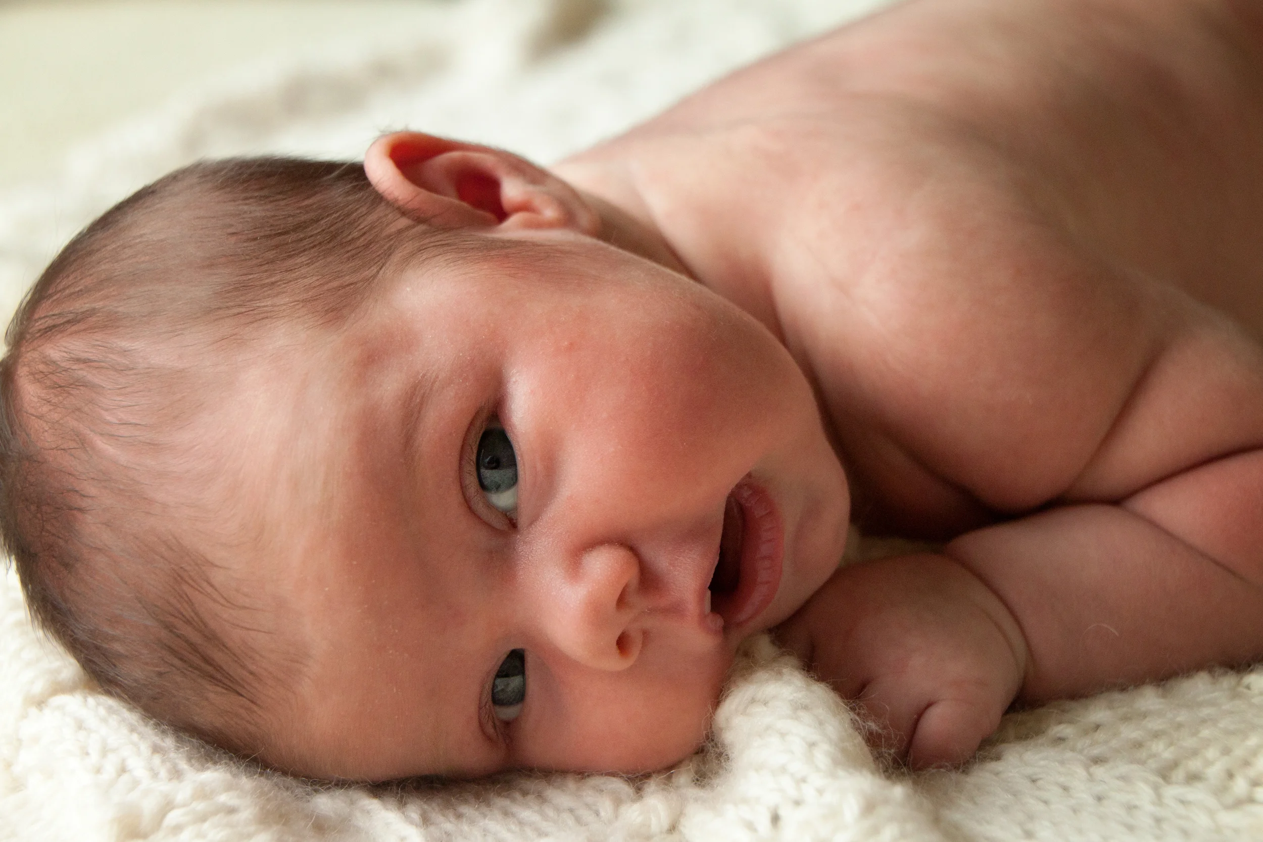 The F Family - Newborn A