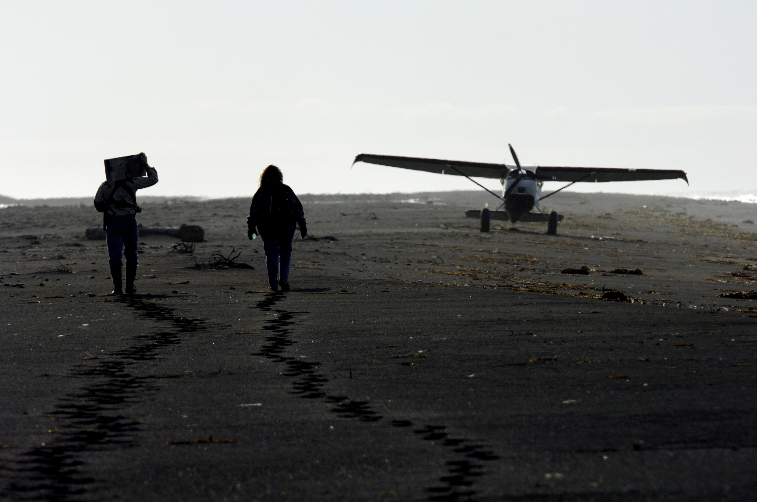 Bush plane on beach