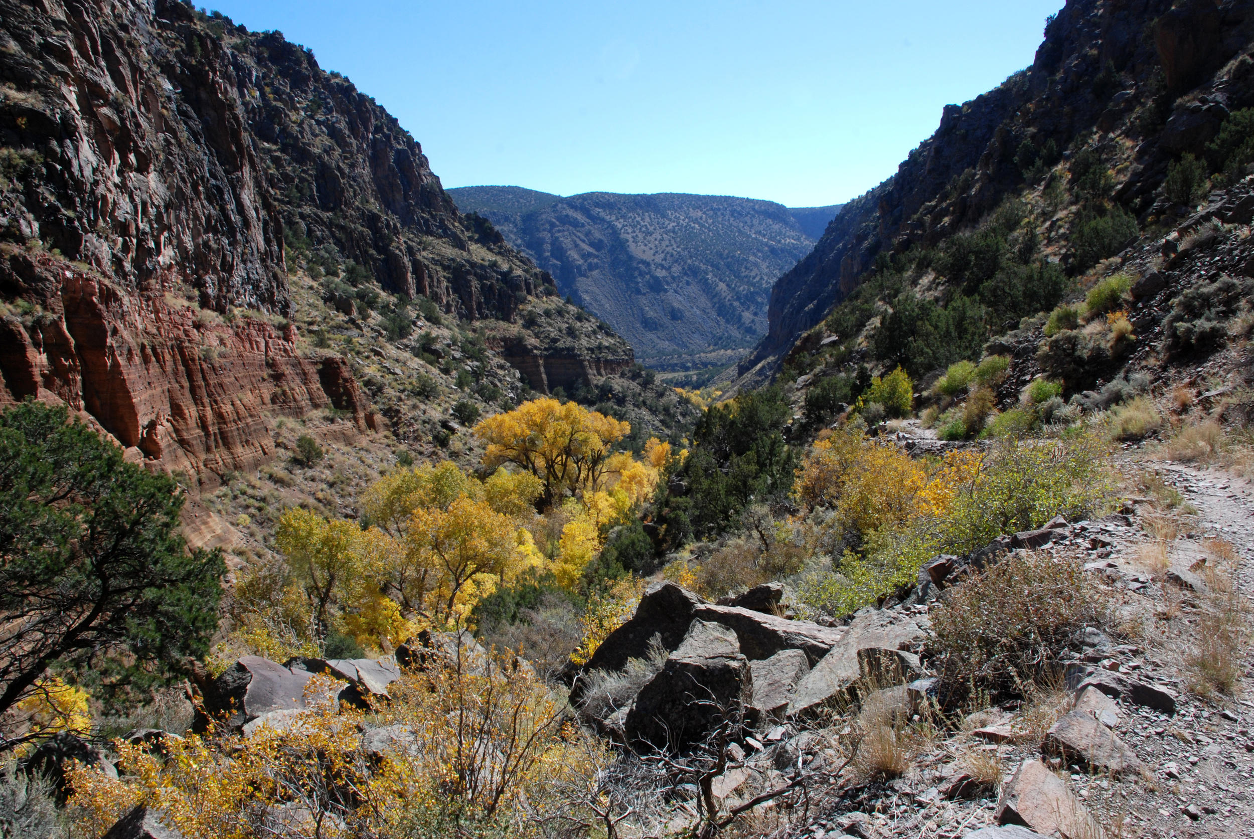 Lower Frijoles Canyon