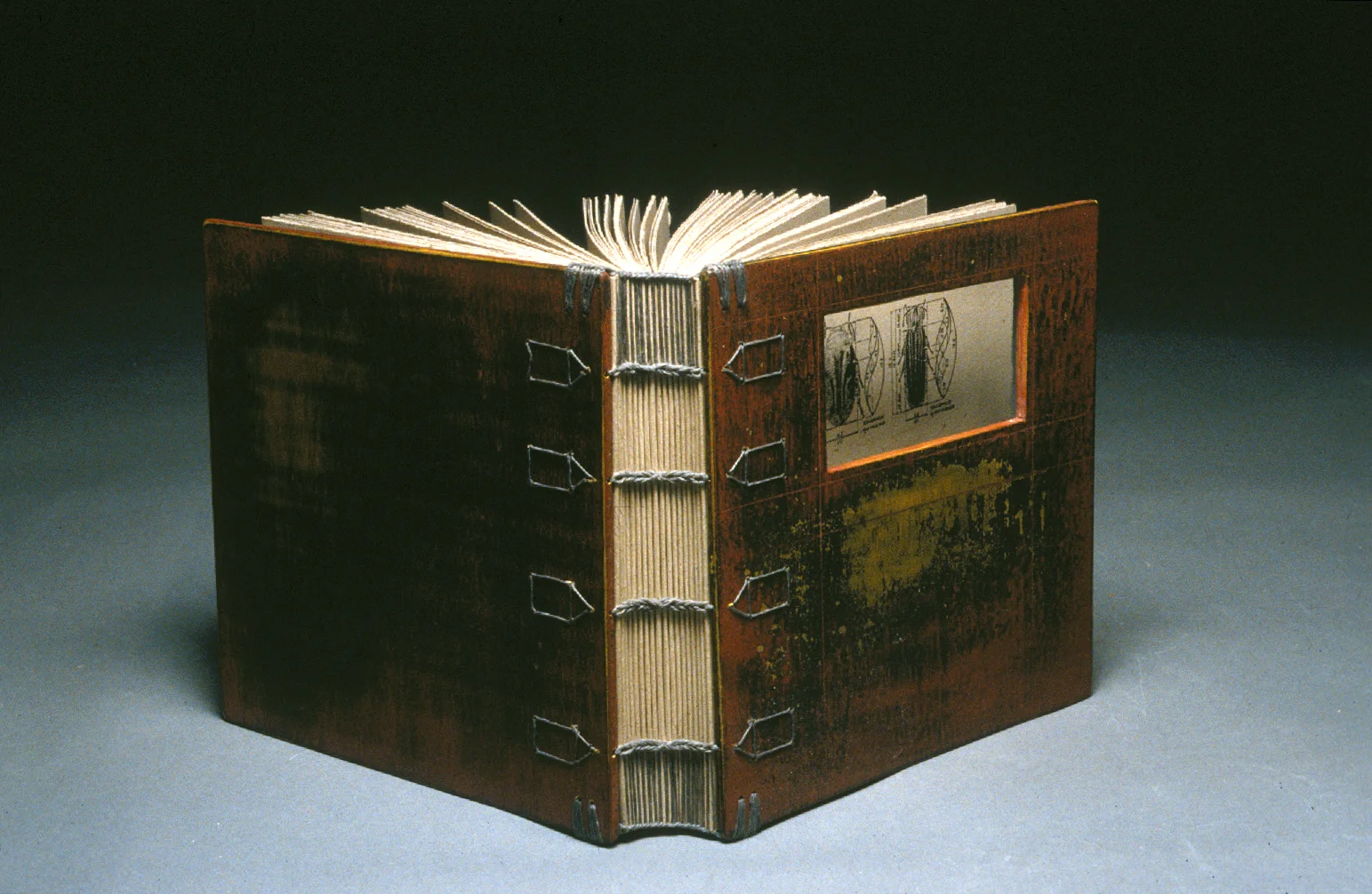 bug book.jpg