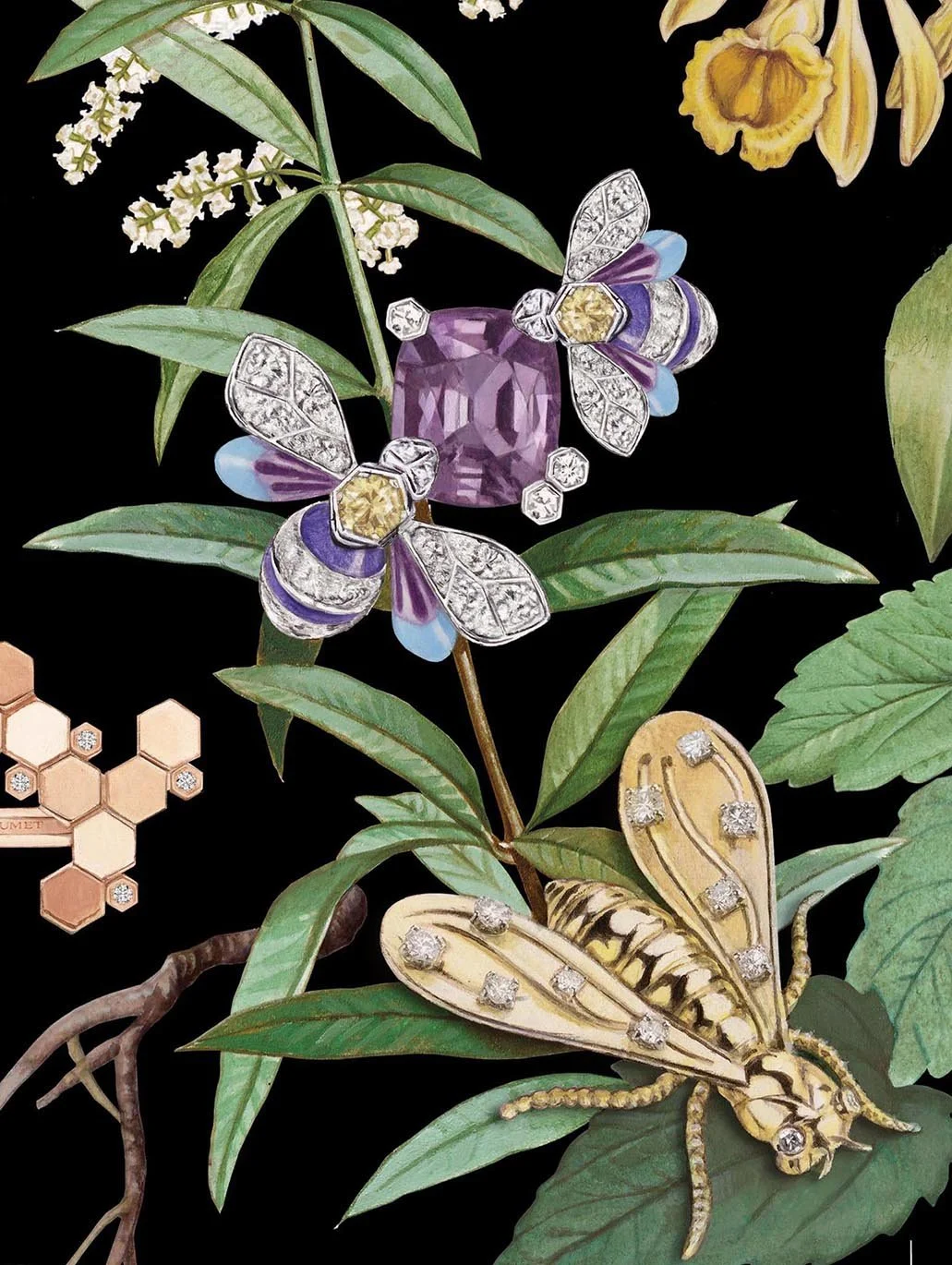 CHAUMET_PIERRE_MORNET_3.jpg