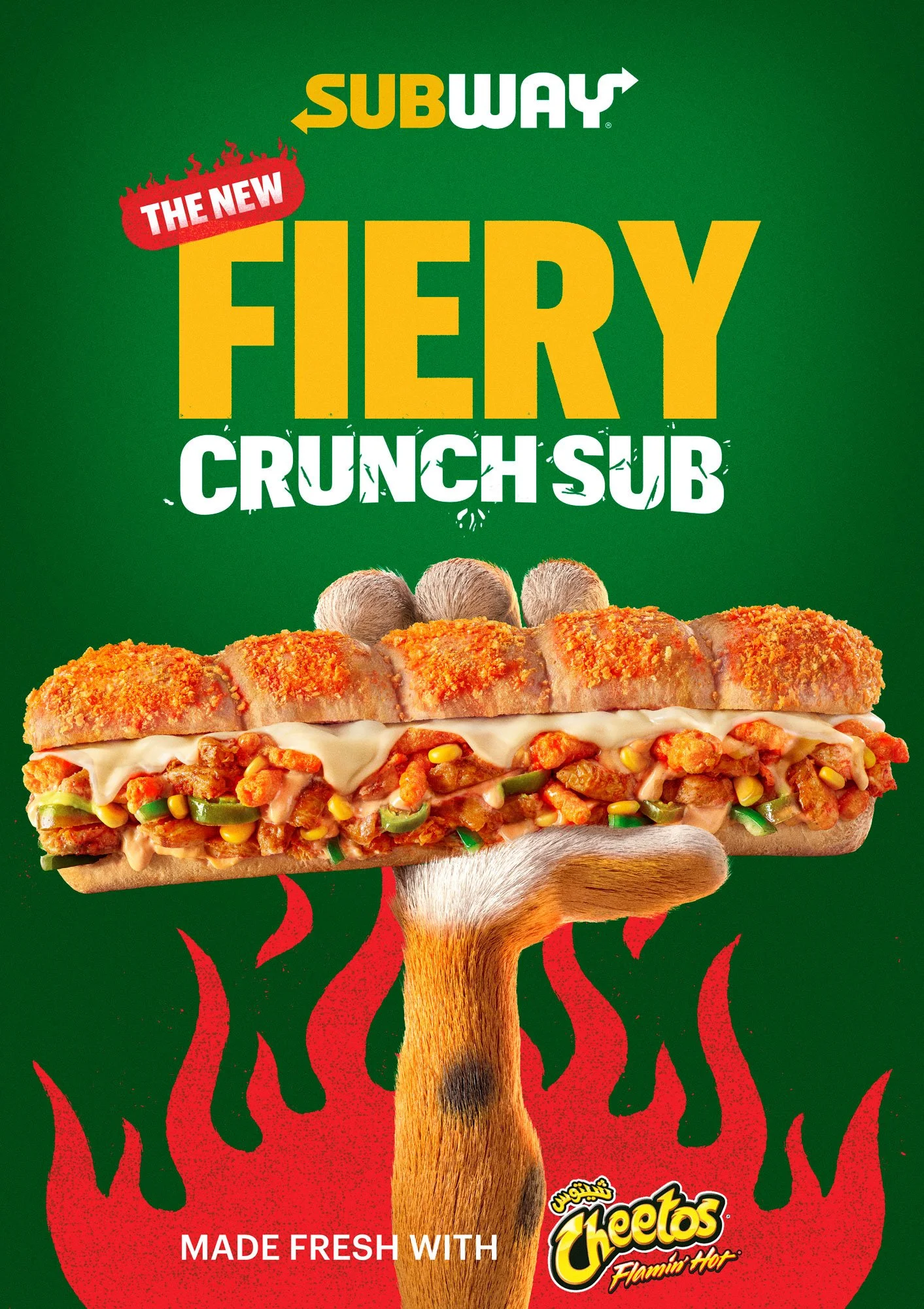 subwaycheetos.jpg