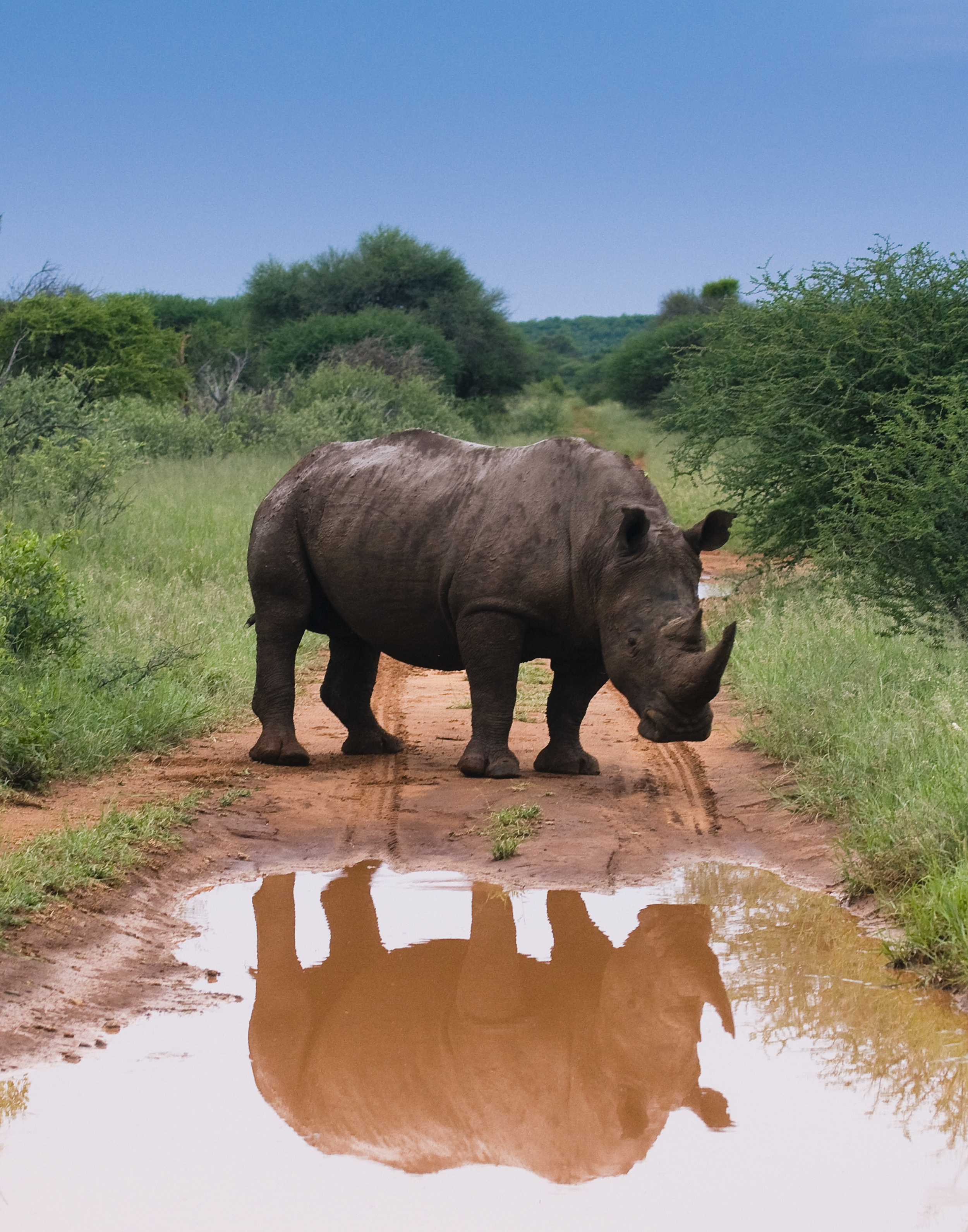 Reflecting