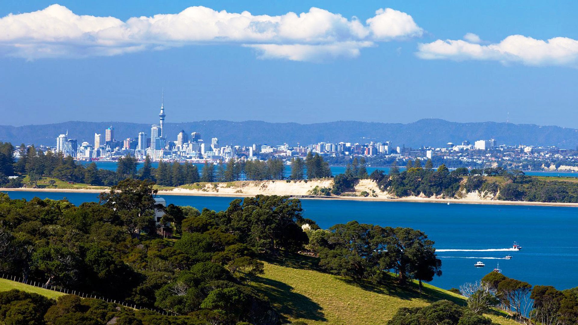 View of Auckland from Waiheke Island