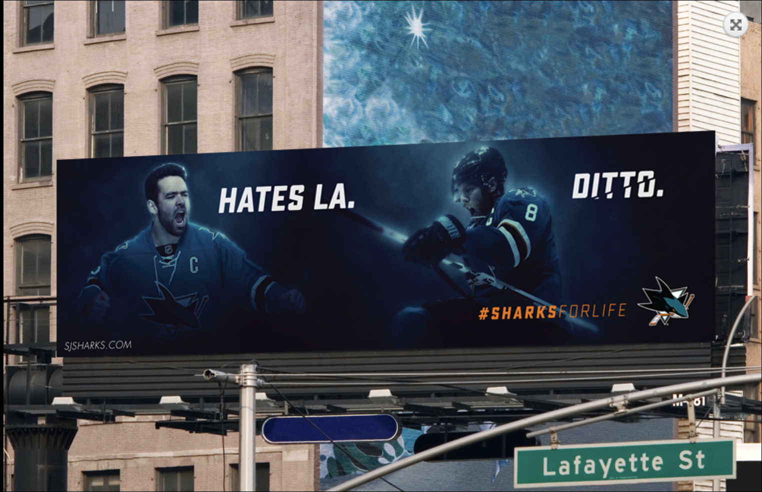 Screen Shot 2017-01-22 at 1.45.43 PM.png