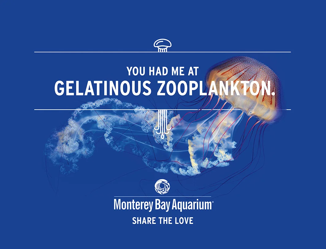 Who loves the aquarium? Everyone. Exactly. 