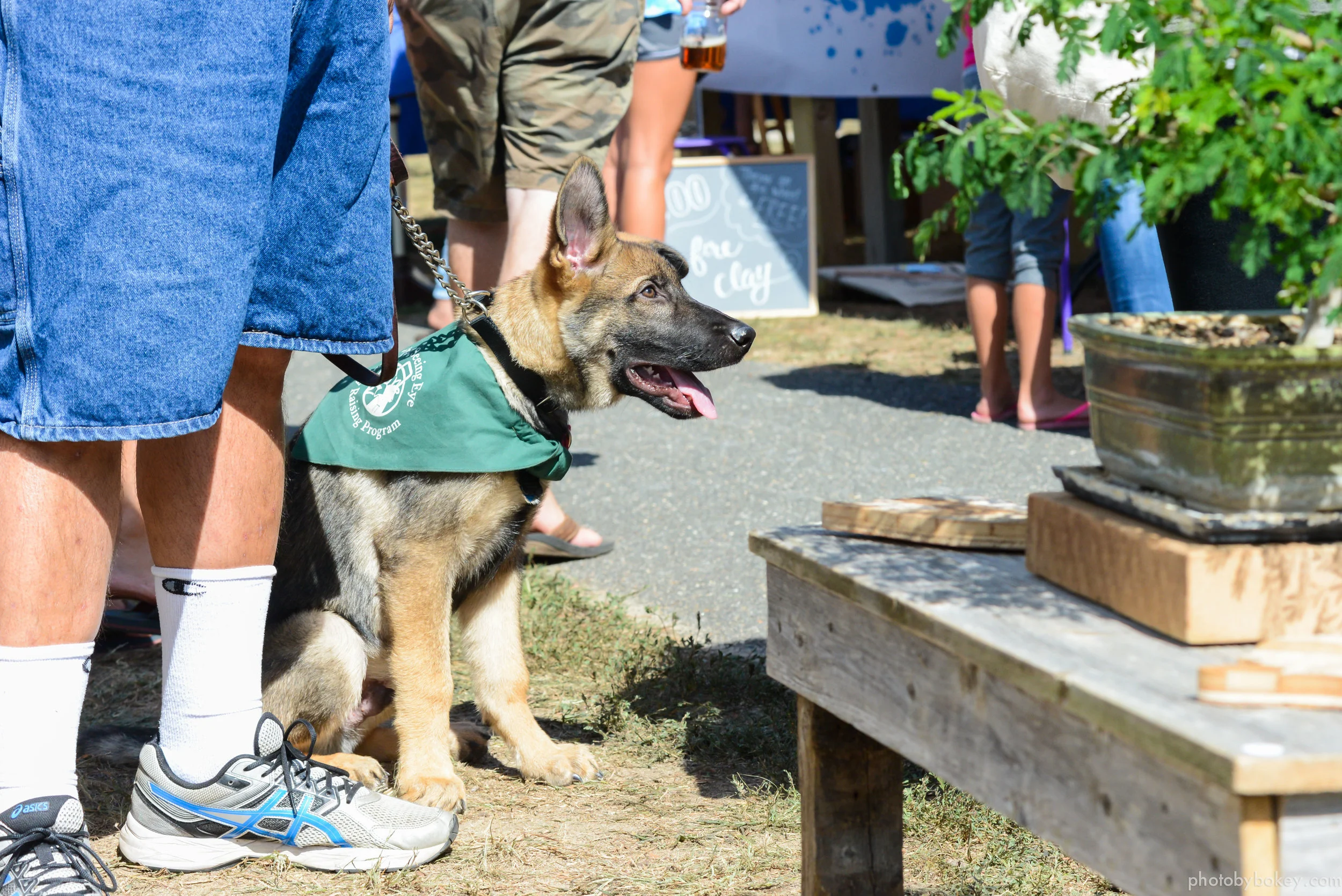 makers festival 2016-131.jpg