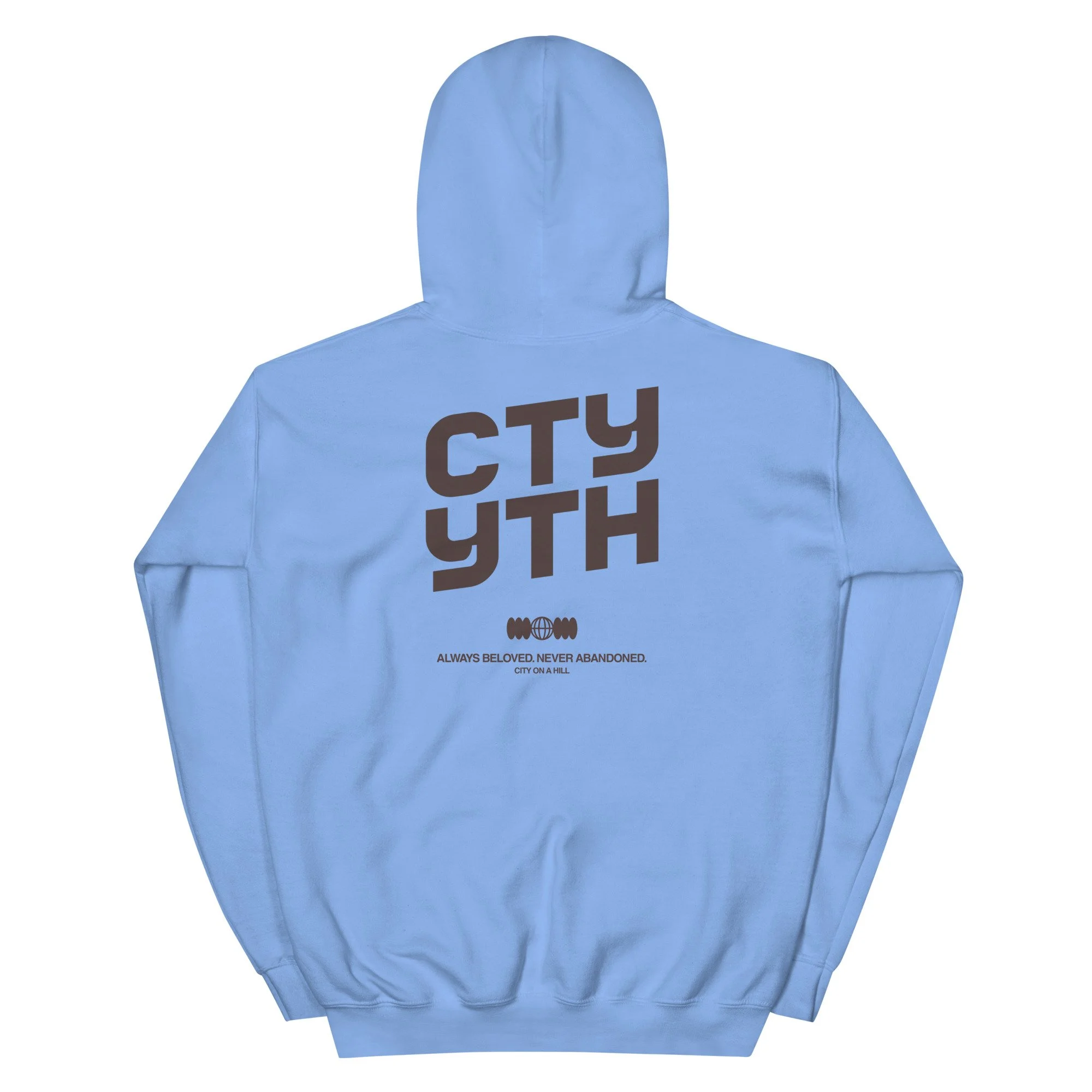 unisex-heavy-blend-hoodie-carolina-blue-back-695edacd6a9a0.jpg