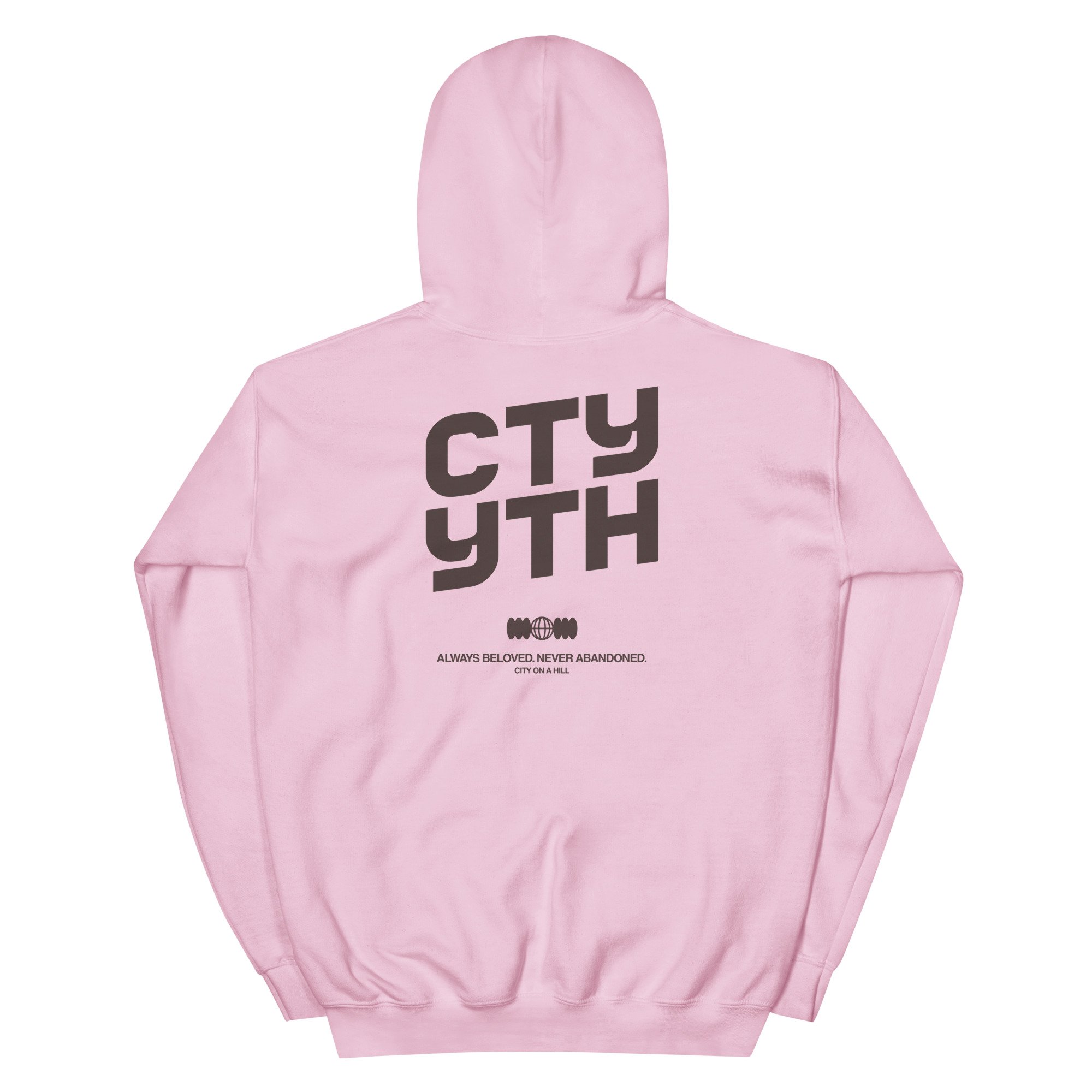 unisex-heavy-blend-hoodie-light-pink-back-695edacd88506.jpg