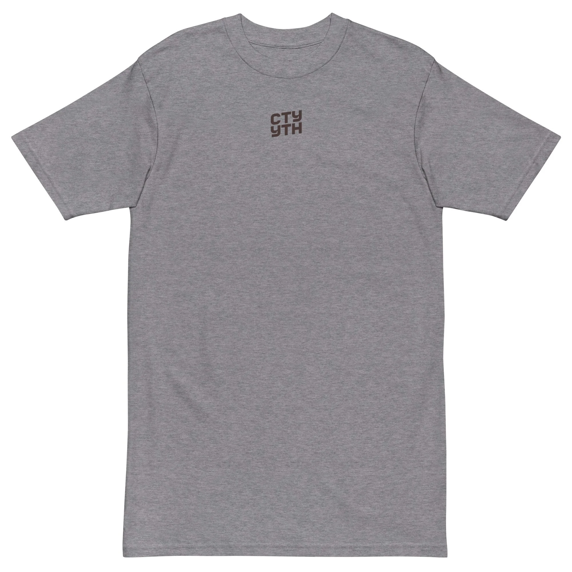 mens-premium-heavyweight-tee-carbon-grey-front-695efea954787.jpg