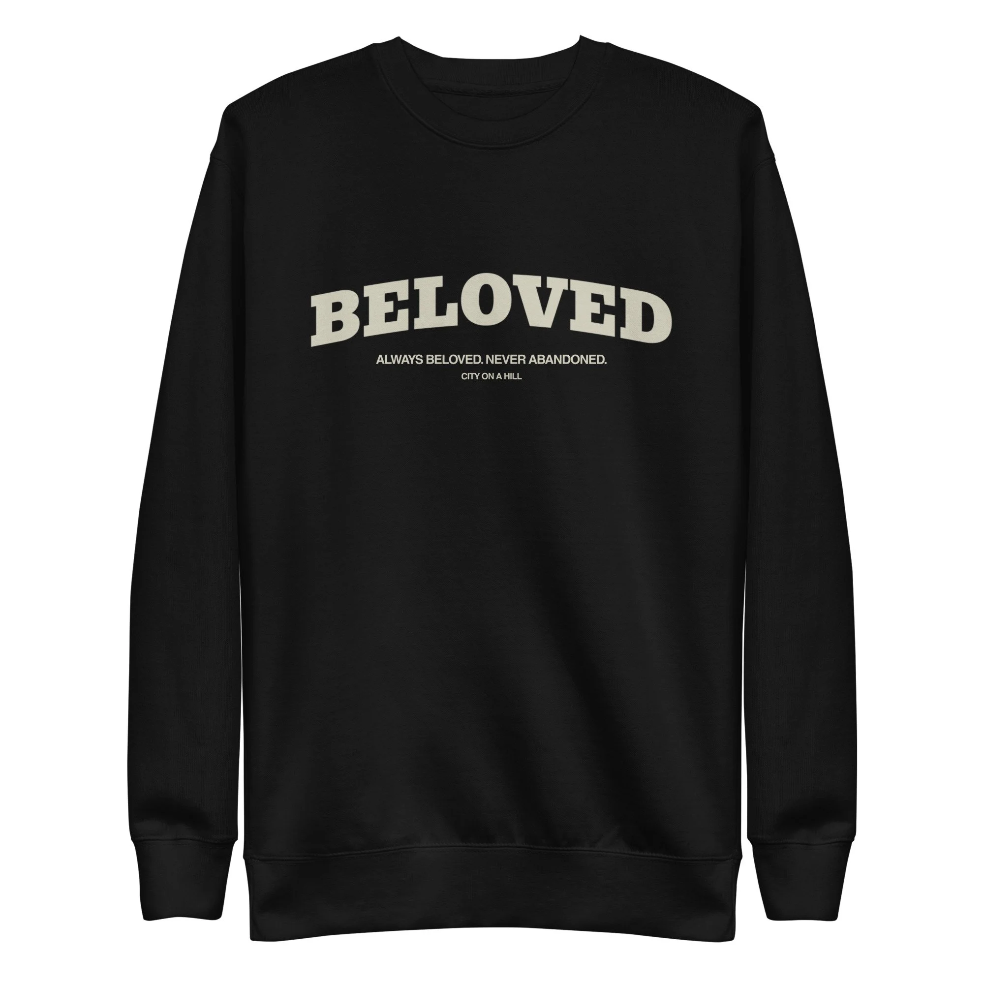 unisex-premium-sweatshirt-black-front-699b28688a61f.jpg