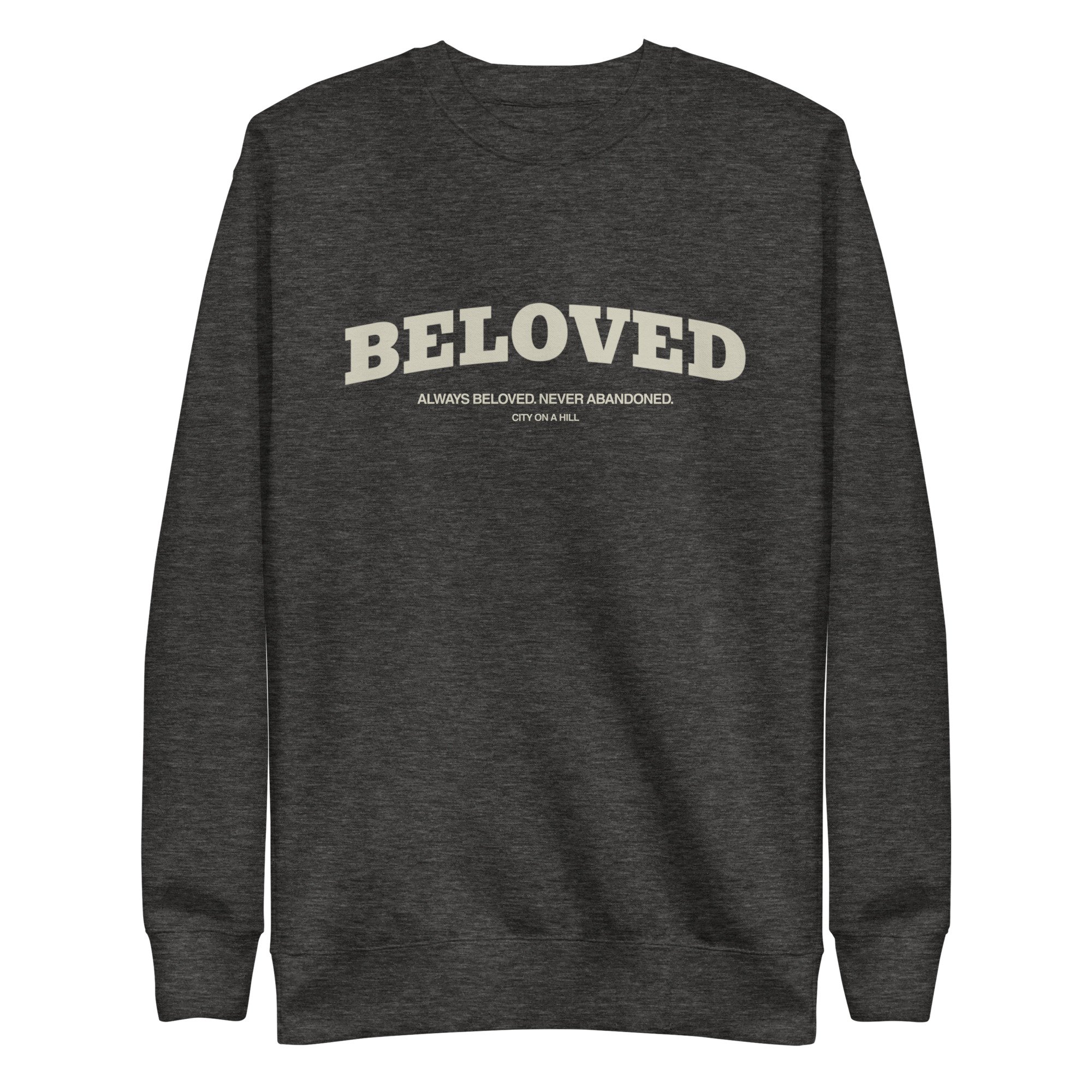 unisex-premium-sweatshirt-charcoal-heather-front-699b28688f6d0.jpg